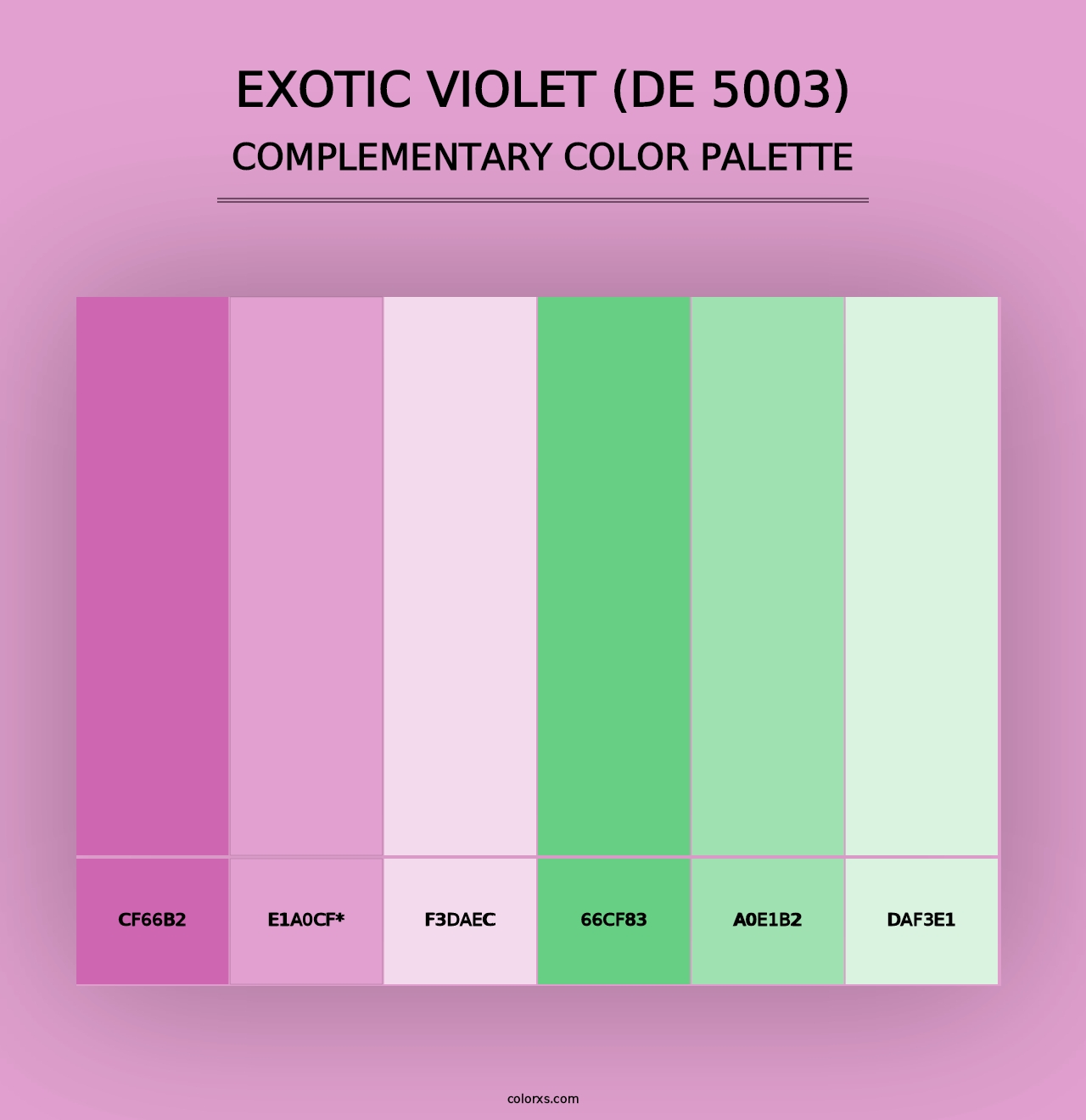 Exotic Violet (DE 5003) - Complementary Color Palette