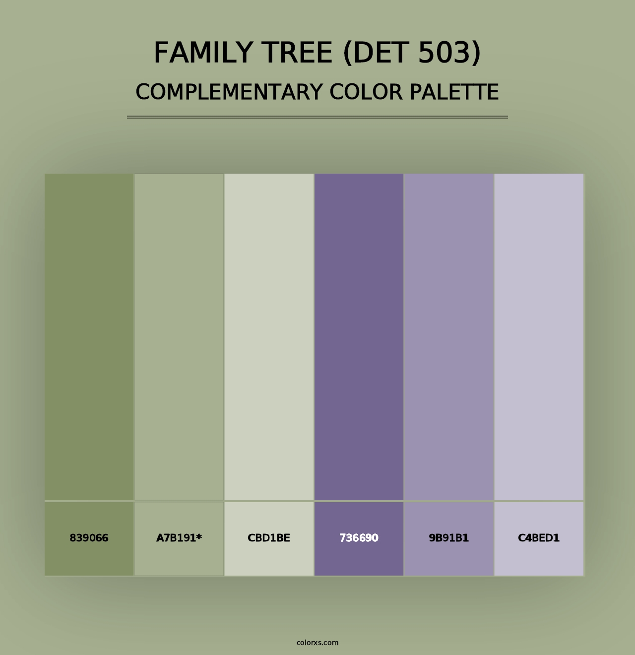 Family Tree (DET 503) - Complementary Color Palette