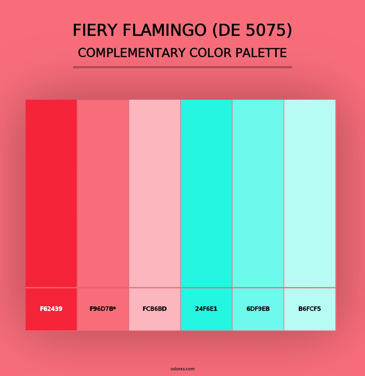 Fiery Flamingo (DE 5075) - Complementary Color Palette