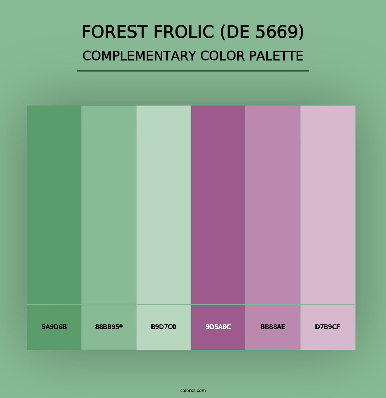 Forest Frolic (DE 5669) - Complementary Color Palette