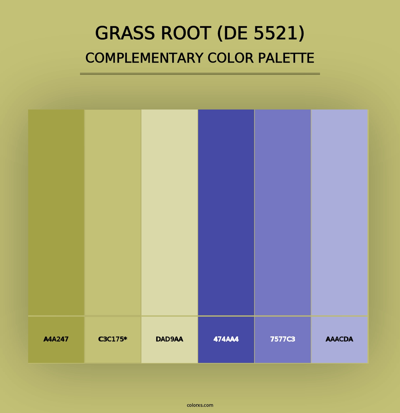 Grass Root (DE 5521) - Complementary Color Palette