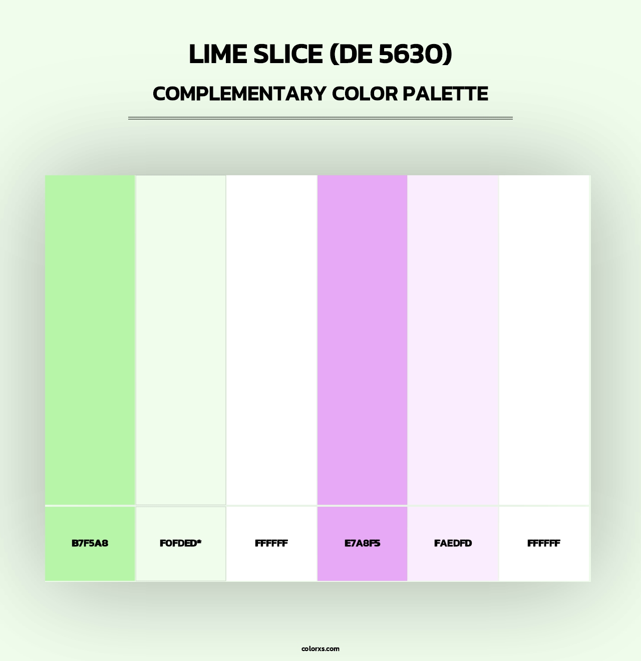 Lime Slice (DE 5630) - Complementary Color Palette