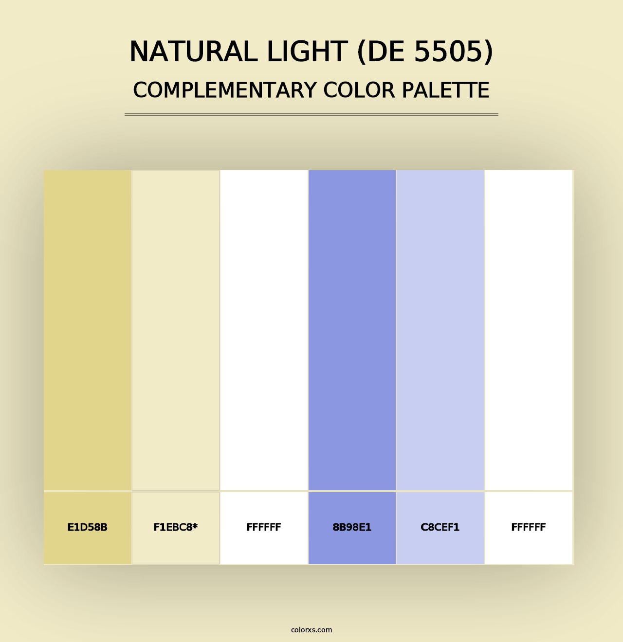 Natural Light (DE 5505) - Complementary Color Palette