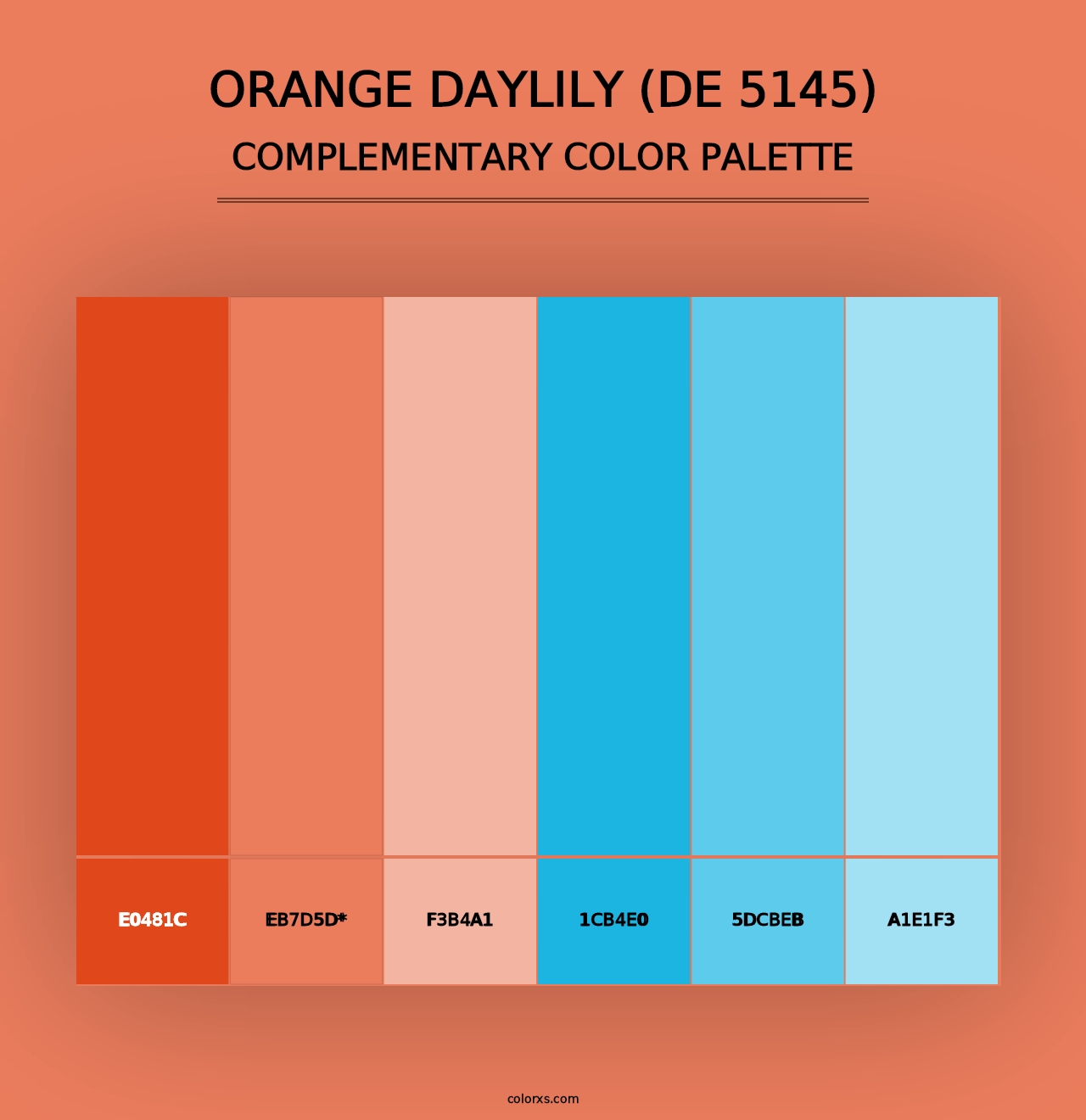 Orange Daylily (DE 5145) - Complementary Color Palette