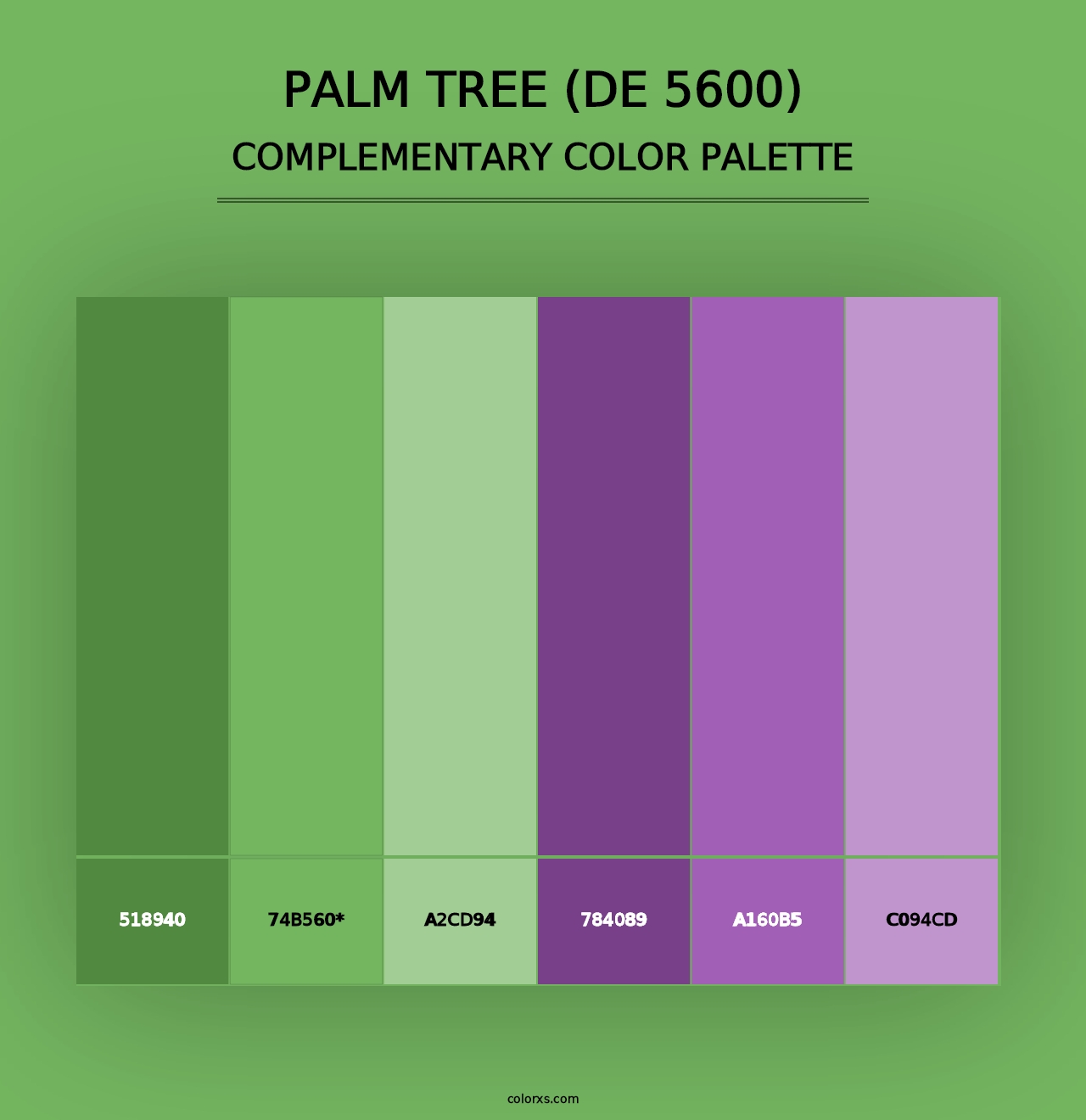 Palm Tree (DE 5600) - Complementary Color Palette