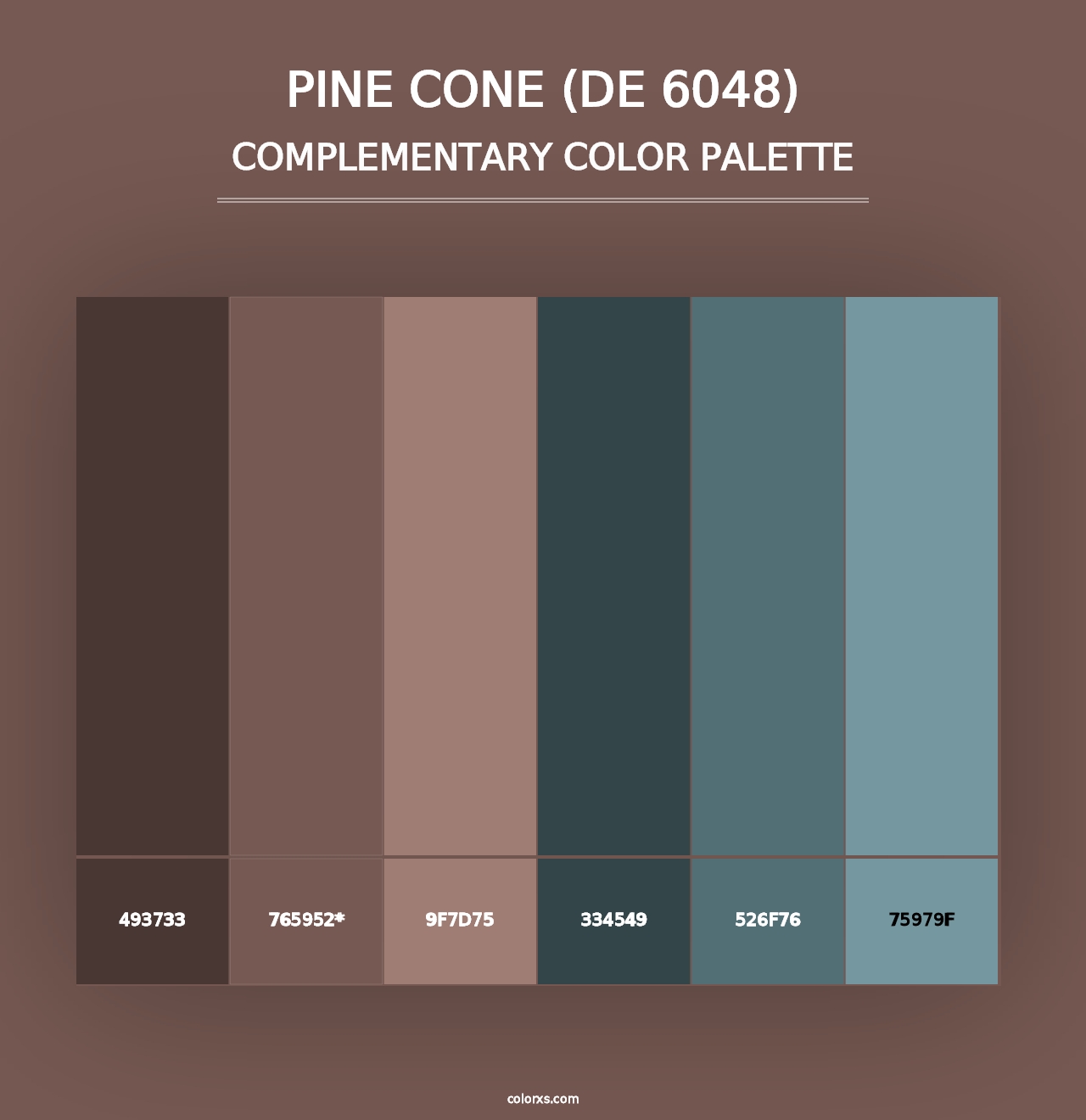 Pine Cone (DE 6048) - Complementary Color Palette