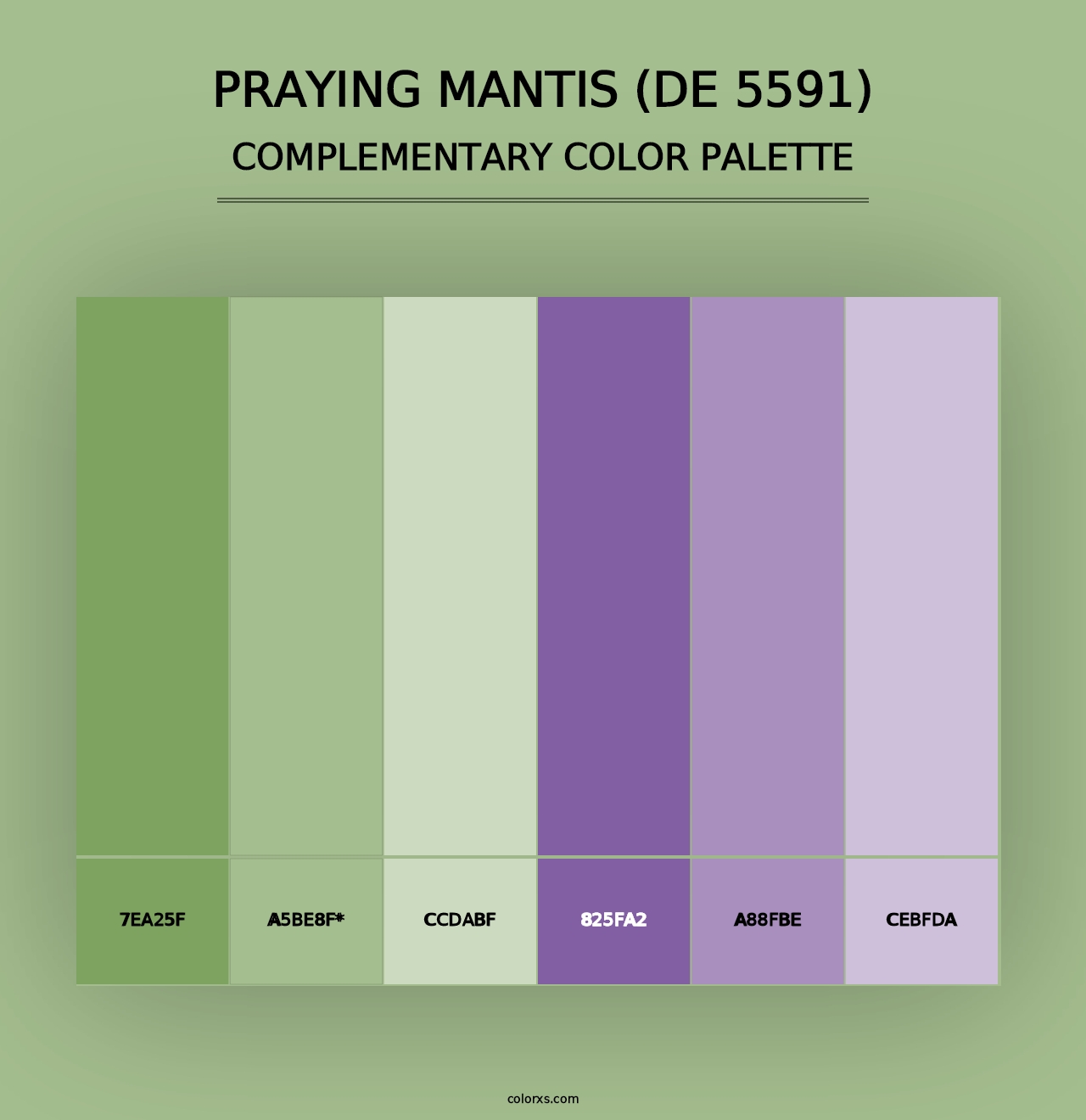 Praying Mantis (DE 5591) - Complementary Color Palette