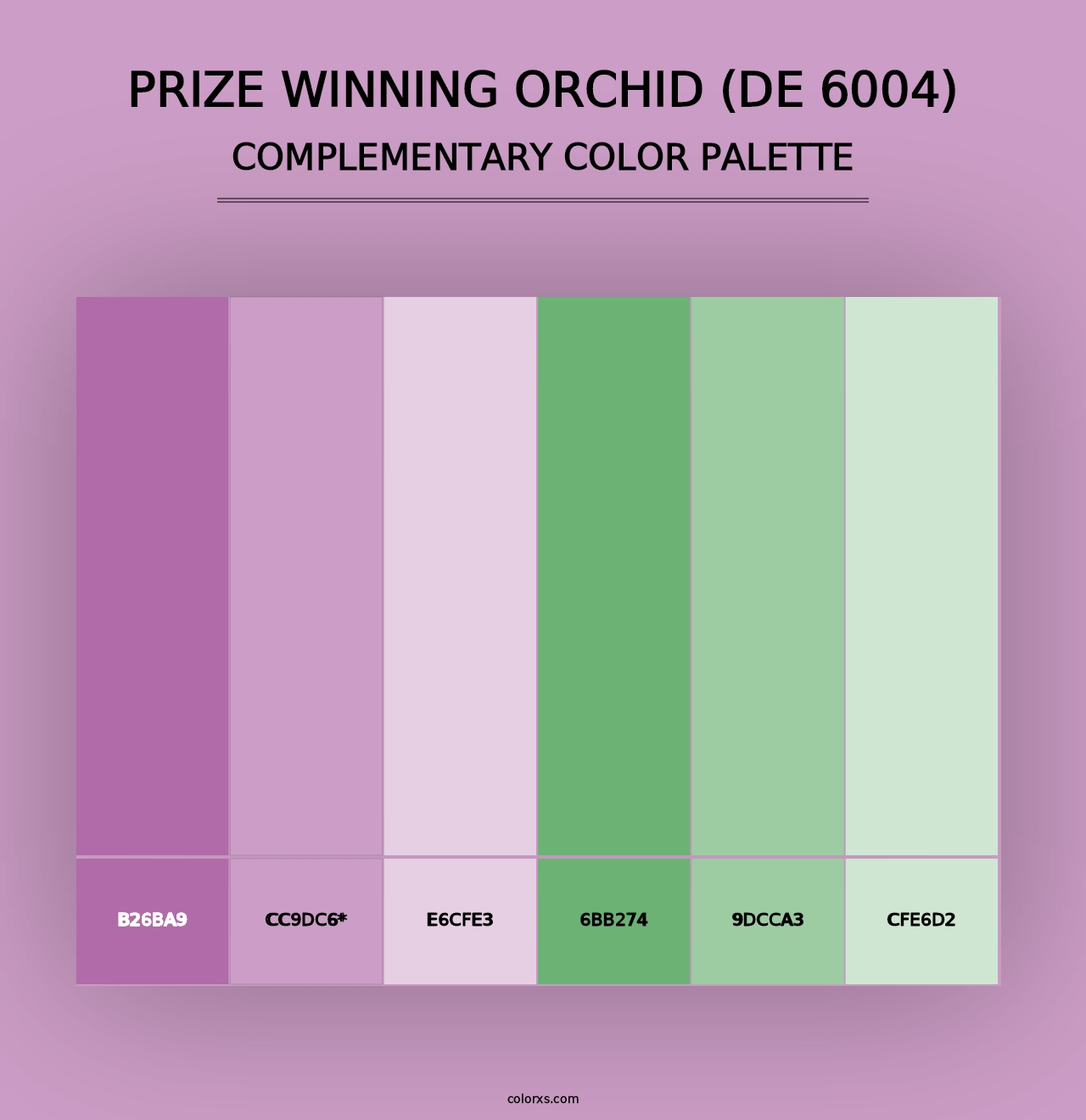 Prize Winning Orchid (DE 6004) - Complementary Color Palette