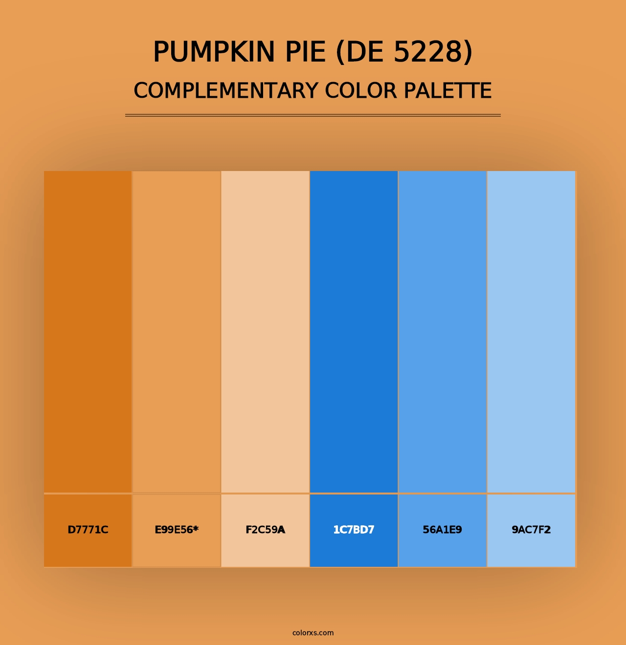 Pumpkin Pie (DE 5228) - Complementary Color Palette