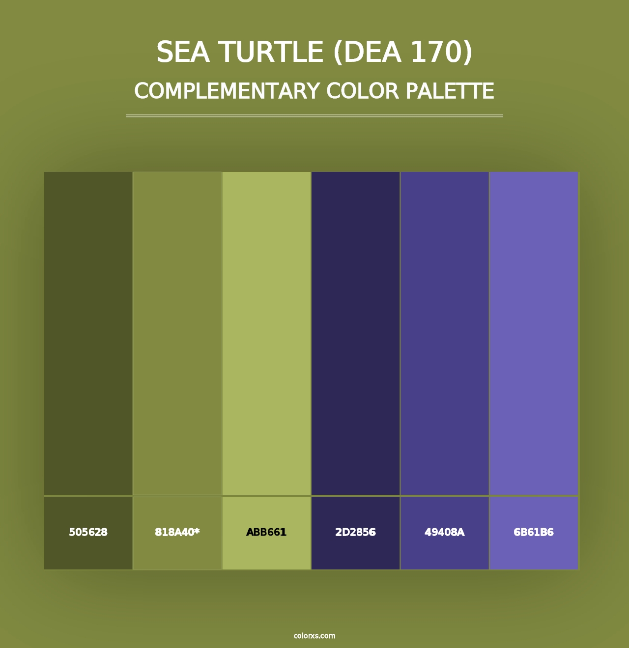 Sea Turtle (DEA 170) - Complementary Color Palette