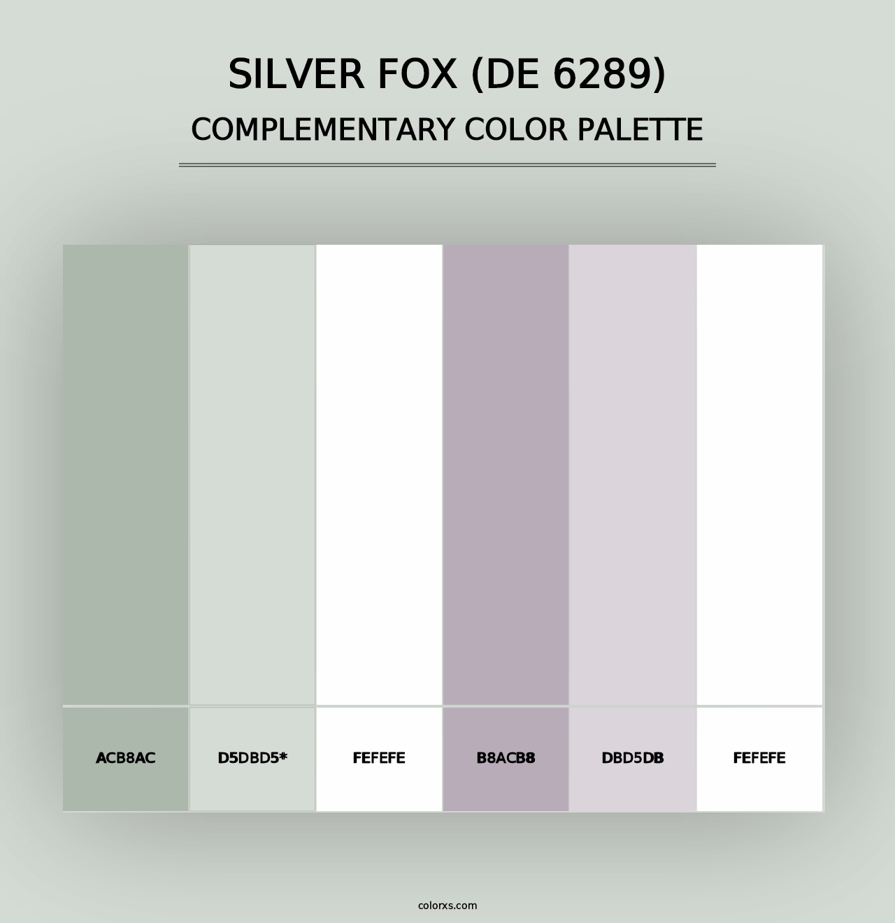 Silver Fox (DE 6289) - Complementary Color Palette