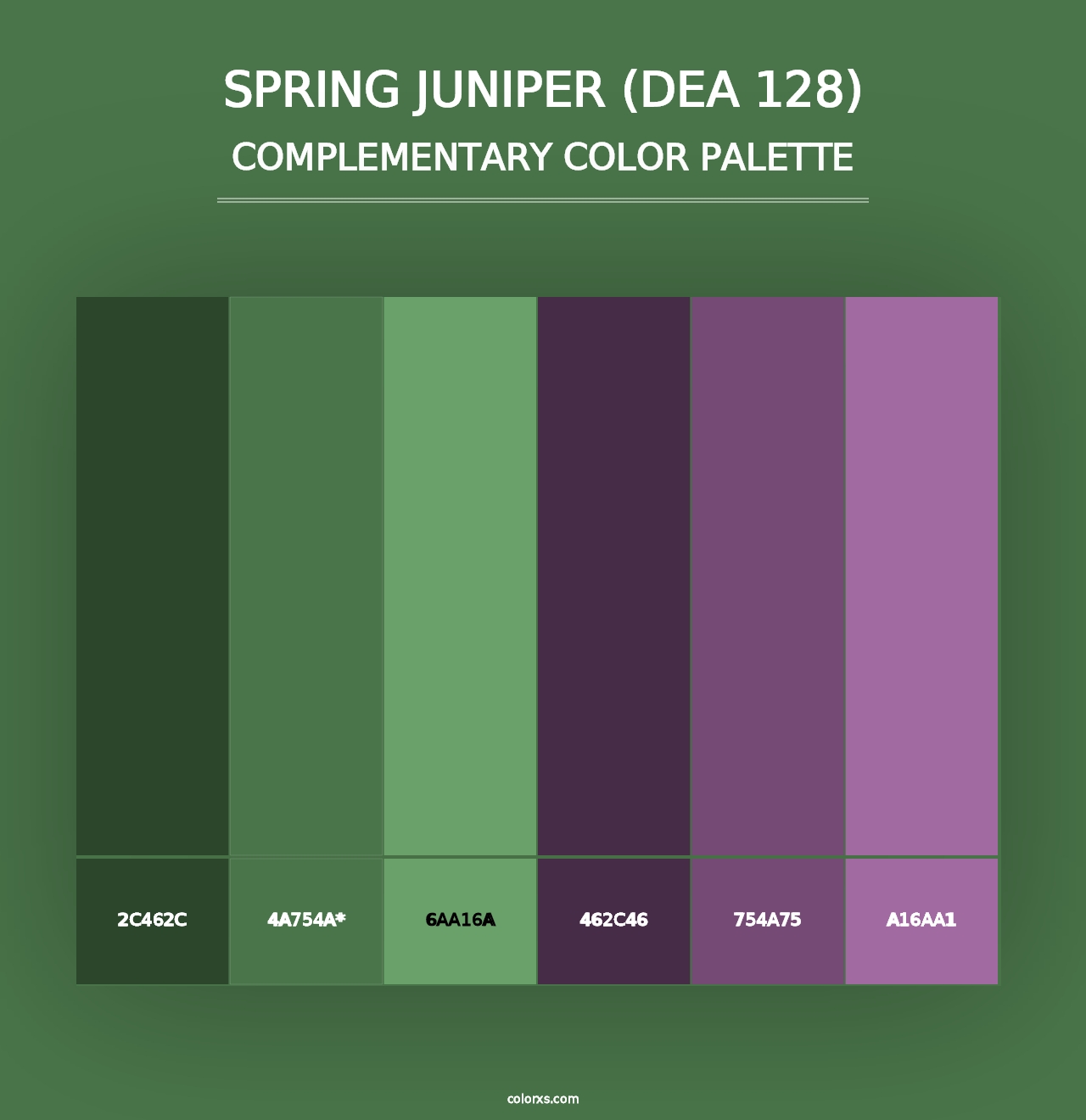 Spring Juniper (DEA 128) - Complementary Color Palette