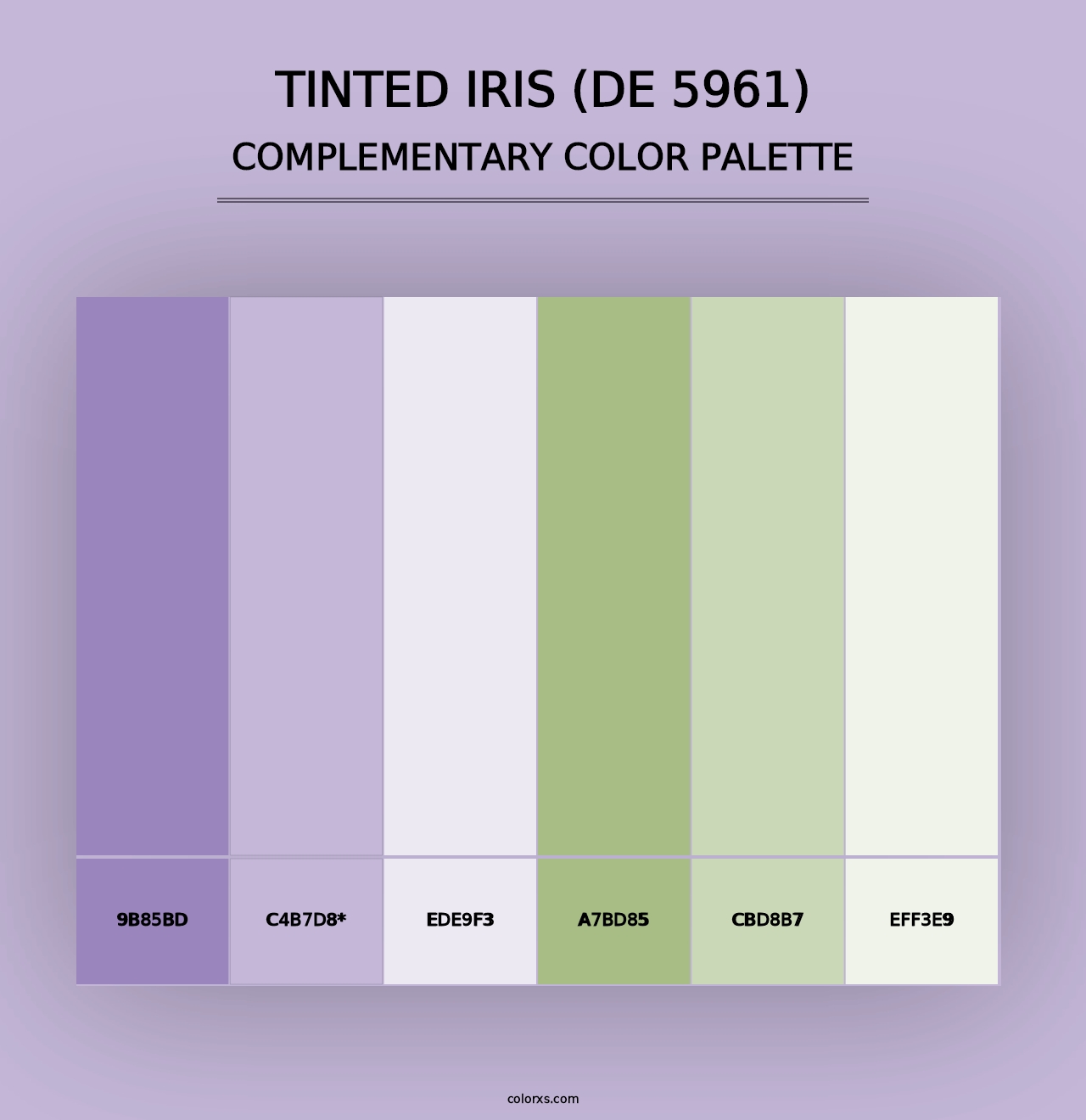 Tinted Iris (DE 5961) - Complementary Color Palette