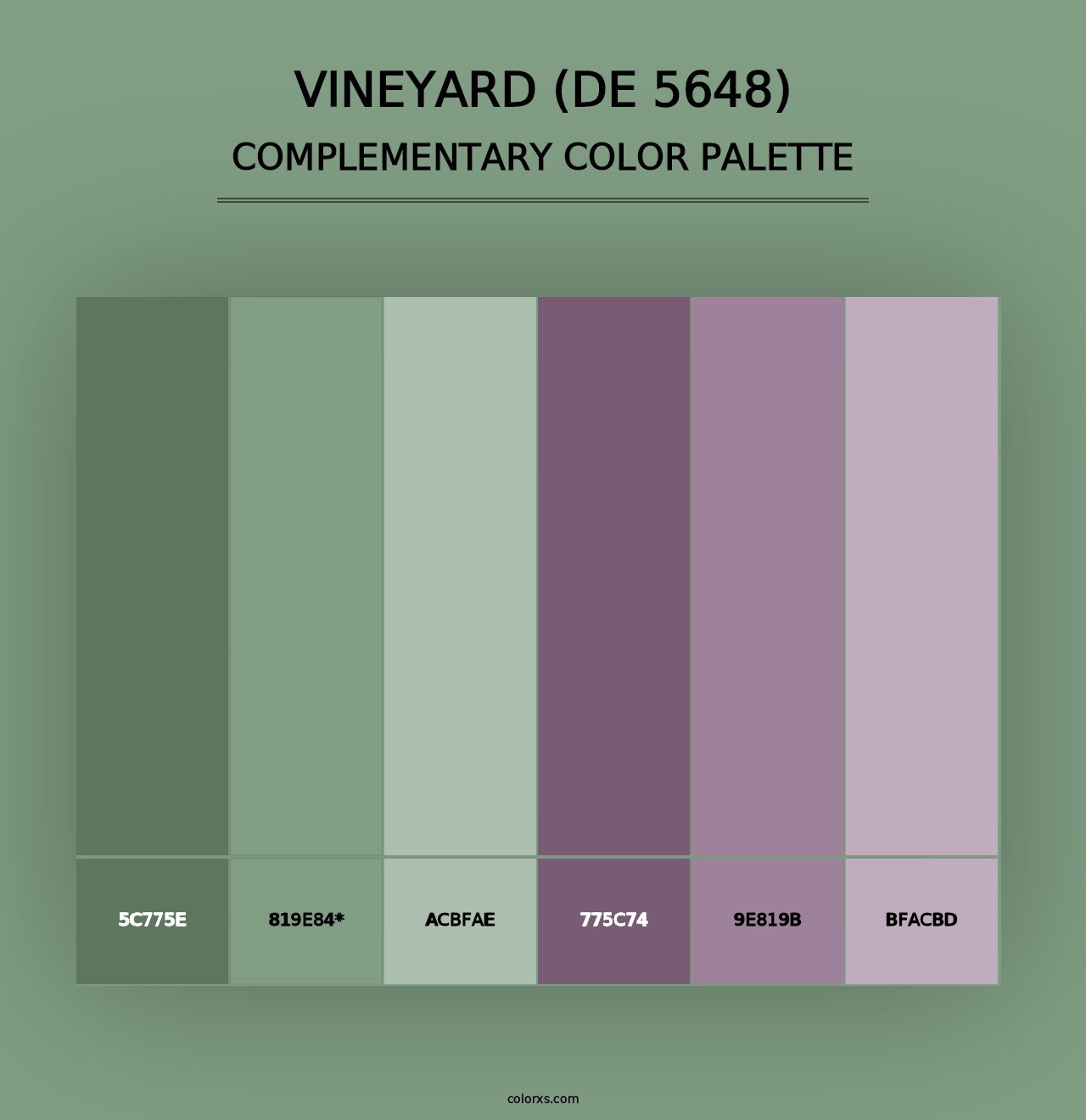 Vineyard (DE 5648) - Complementary Color Palette