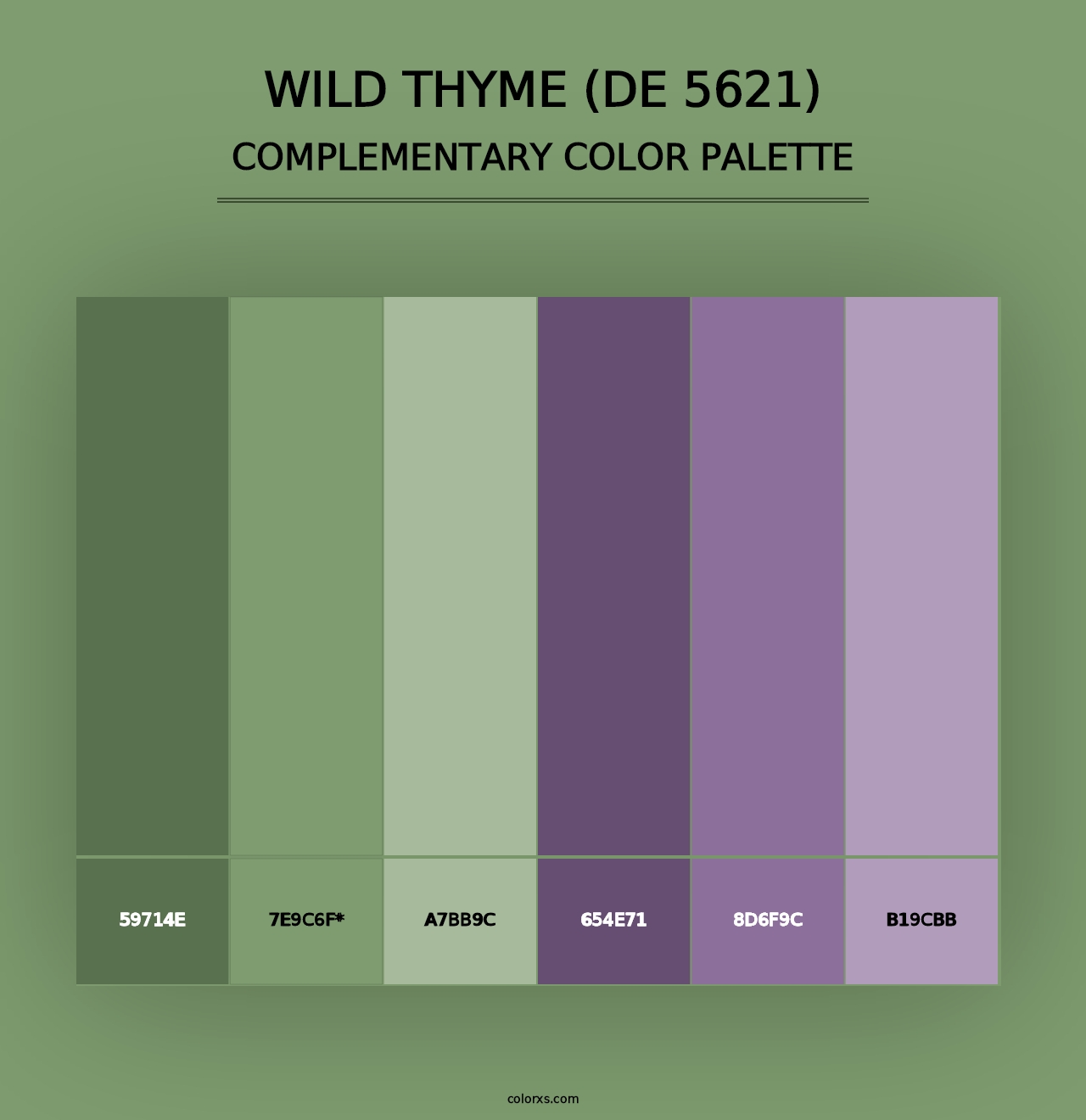 Wild Thyme (DE 5621) - Complementary Color Palette