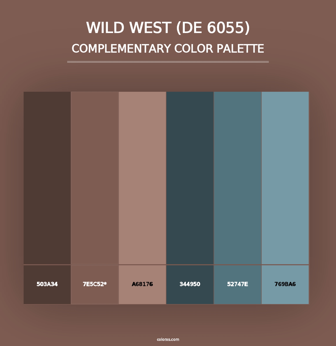 Wild West (DE 6055) - Complementary Color Palette