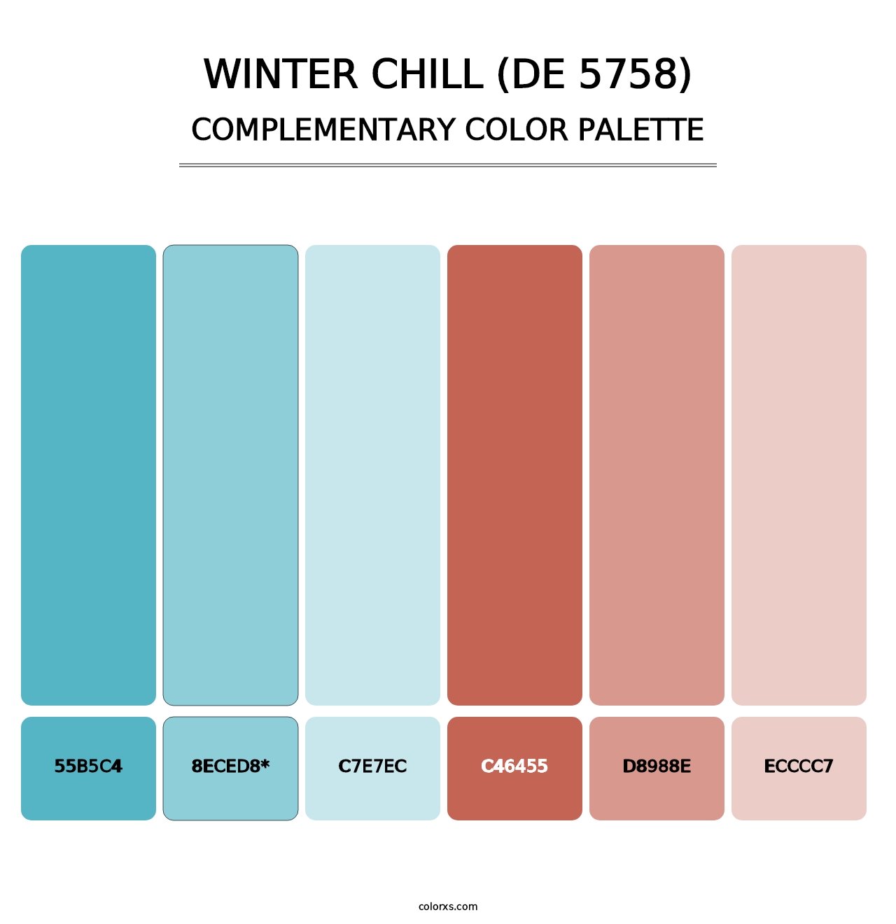 Winter Chill (DE 5758) - Complementary Color Palette