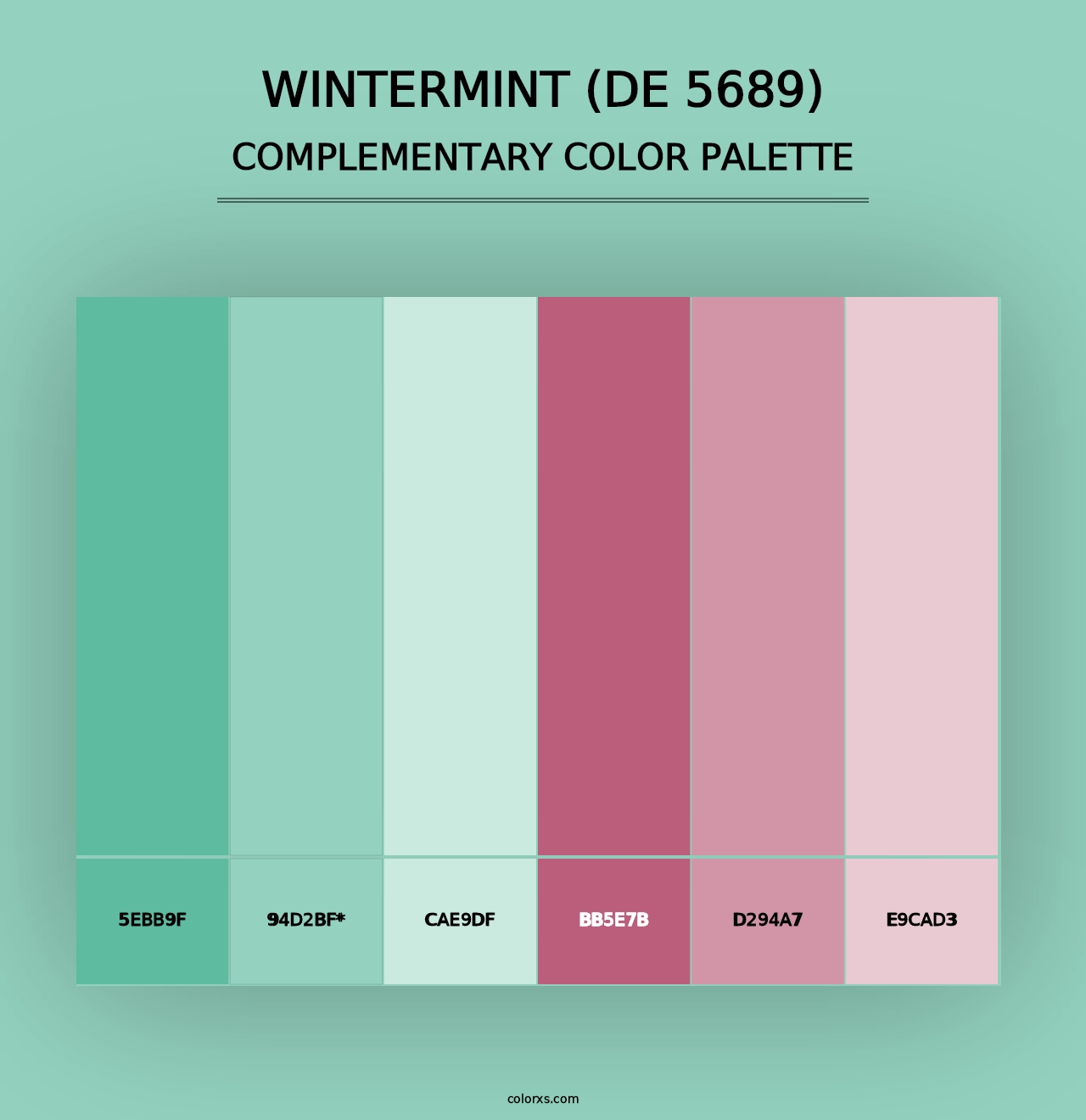 Wintermint (DE 5689) - Complementary Color Palette