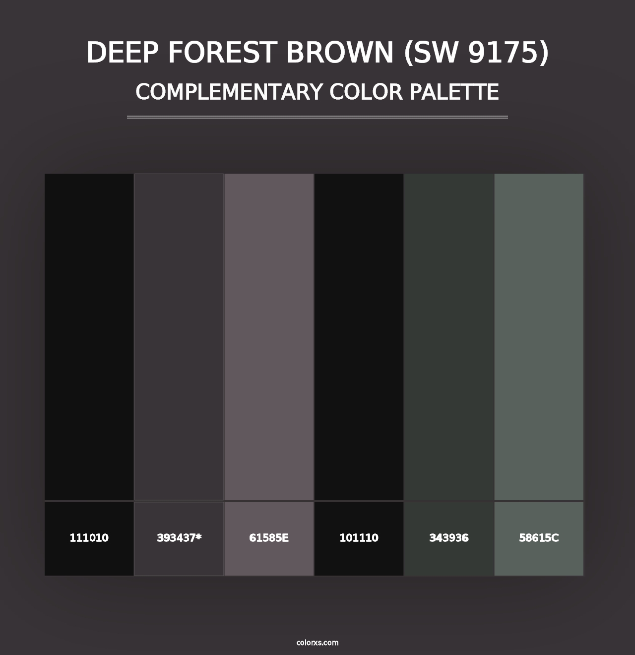 Deep Forest Brown (SW 9175) - Complementary Color Palette