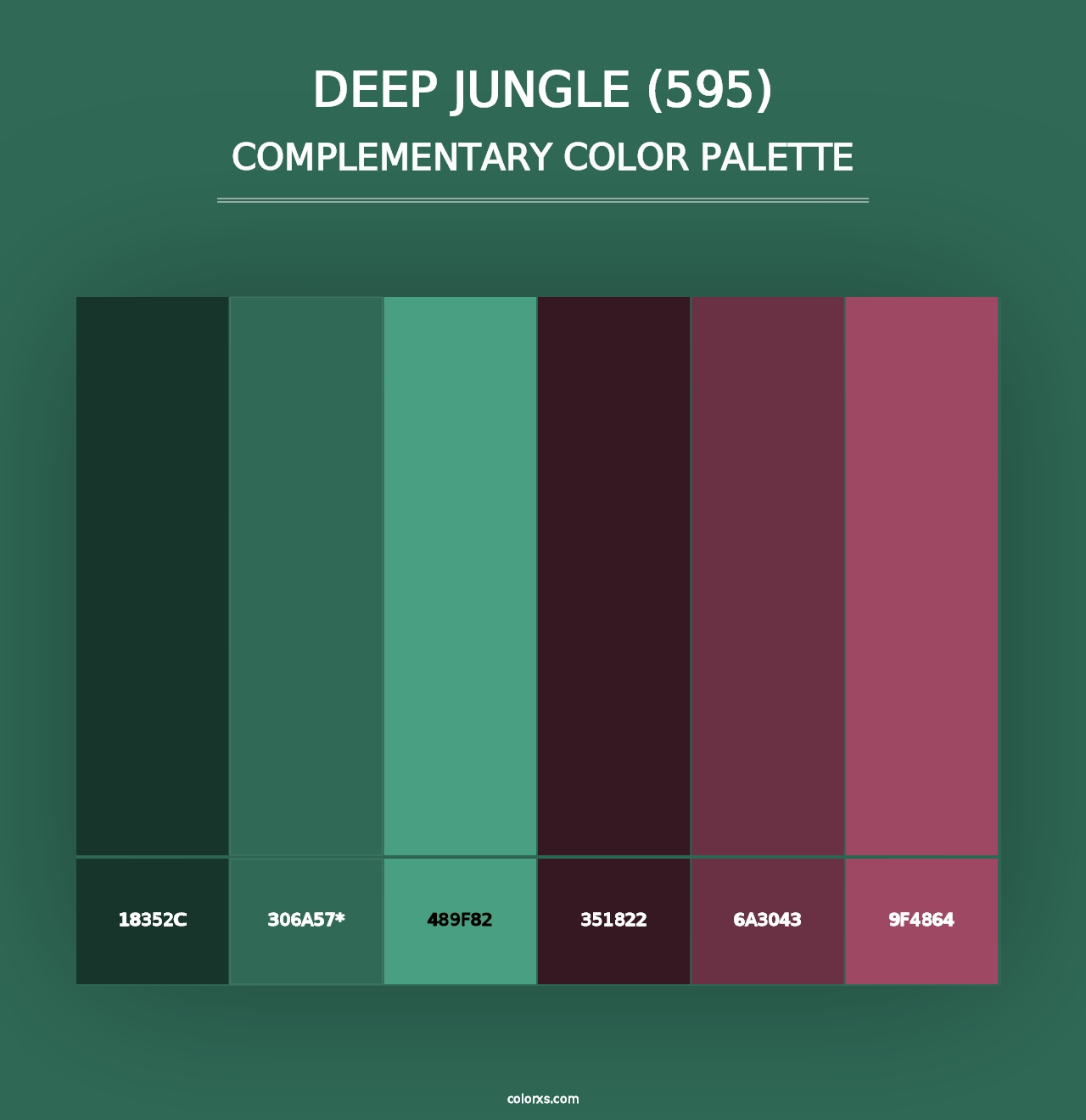 Deep Jungle (595) - Complementary Color Palette