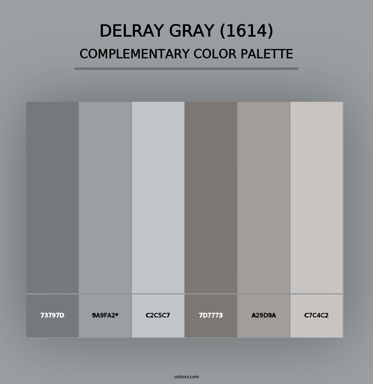 Delray Gray (1614) - Complementary Color Palette