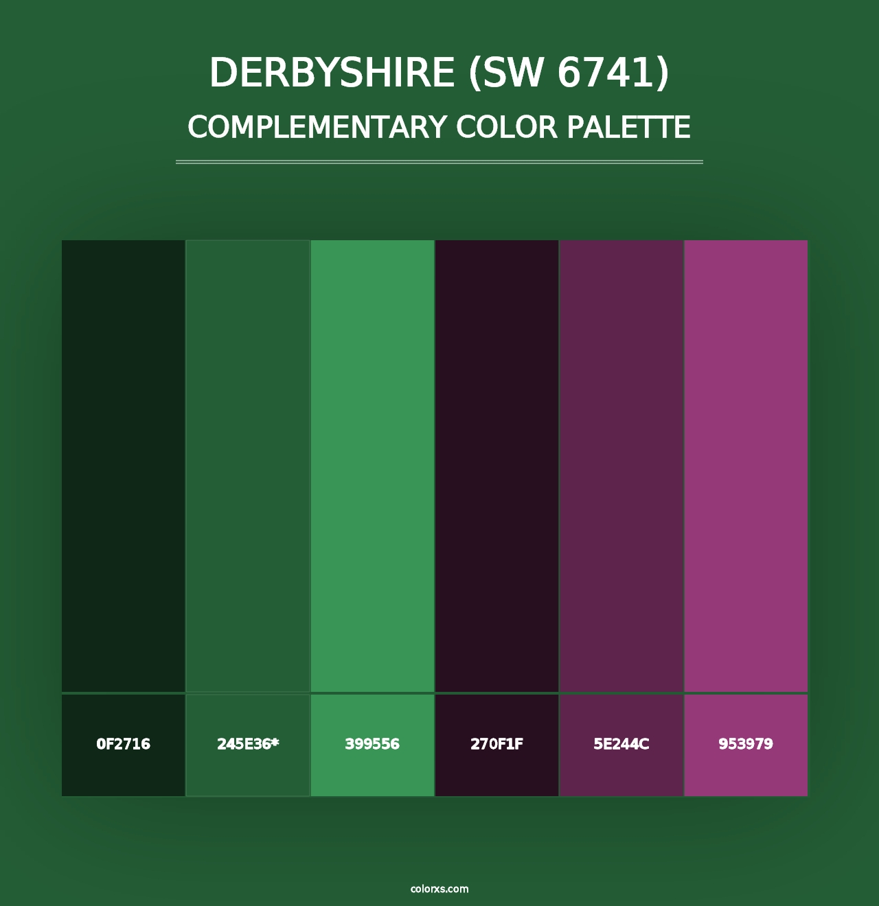 Derbyshire (SW 6741) - Complementary Color Palette