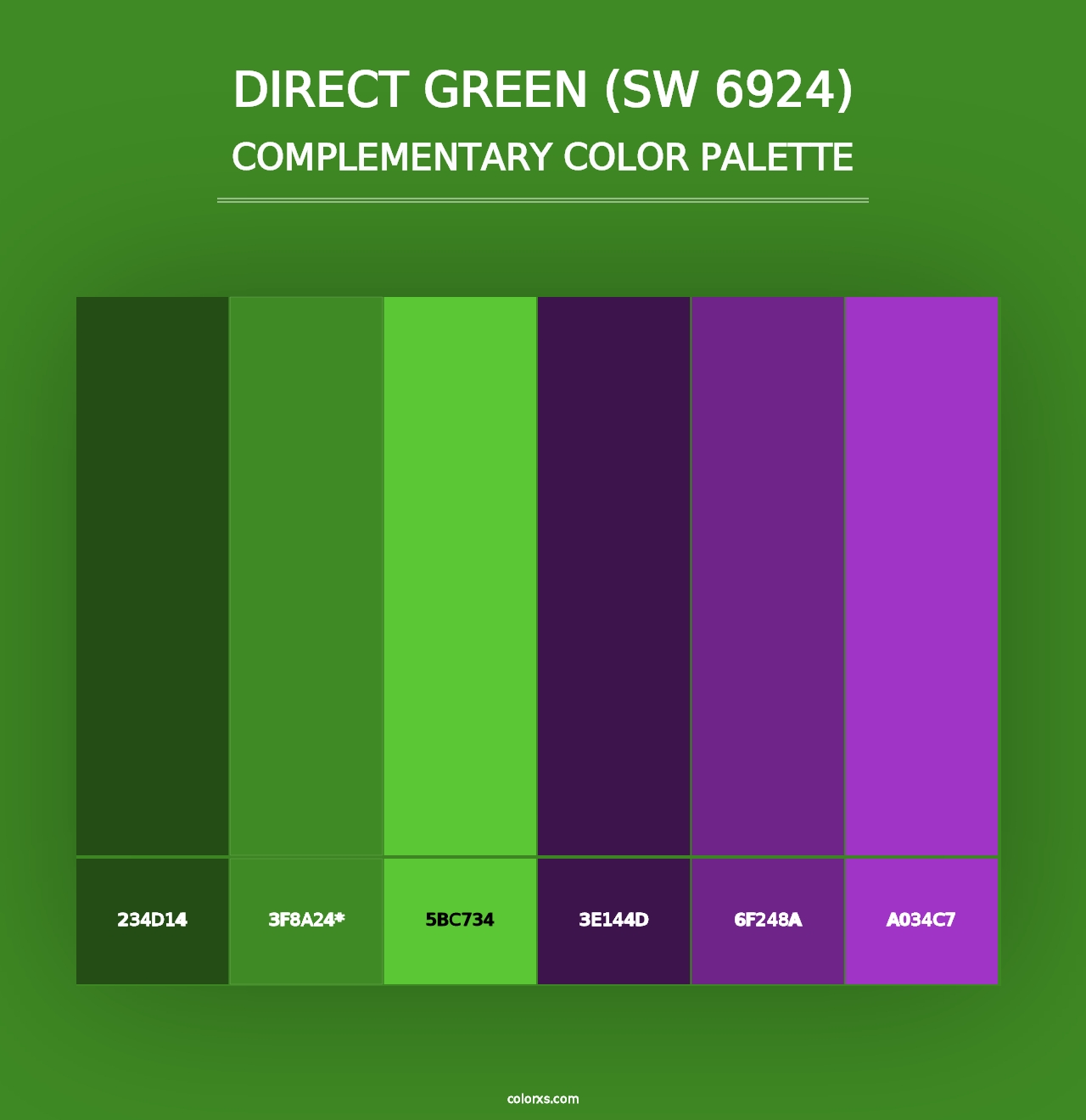 Direct Green (SW 6924) - Complementary Color Palette