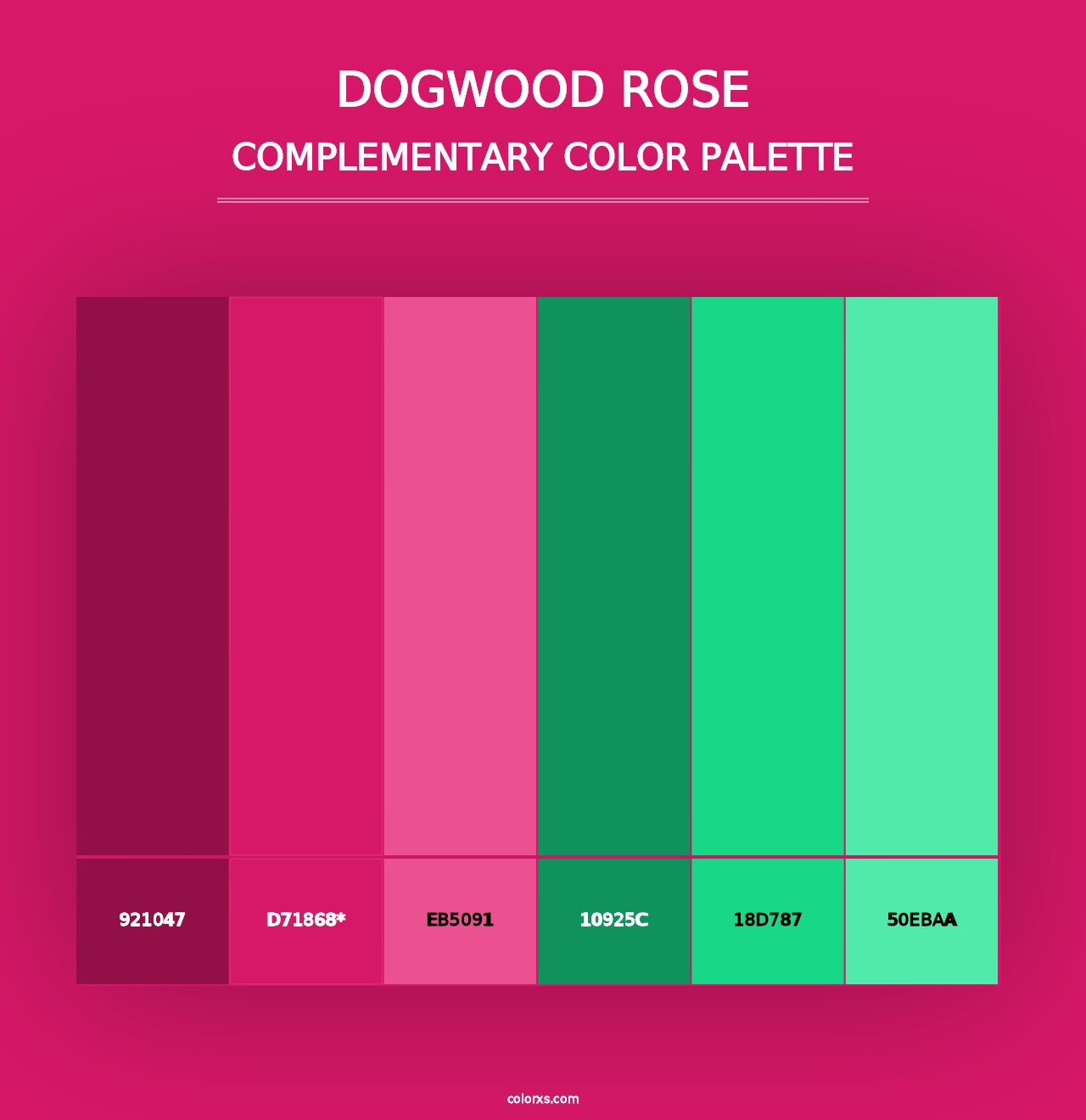 Dogwood Rose - Complementary Color Palette