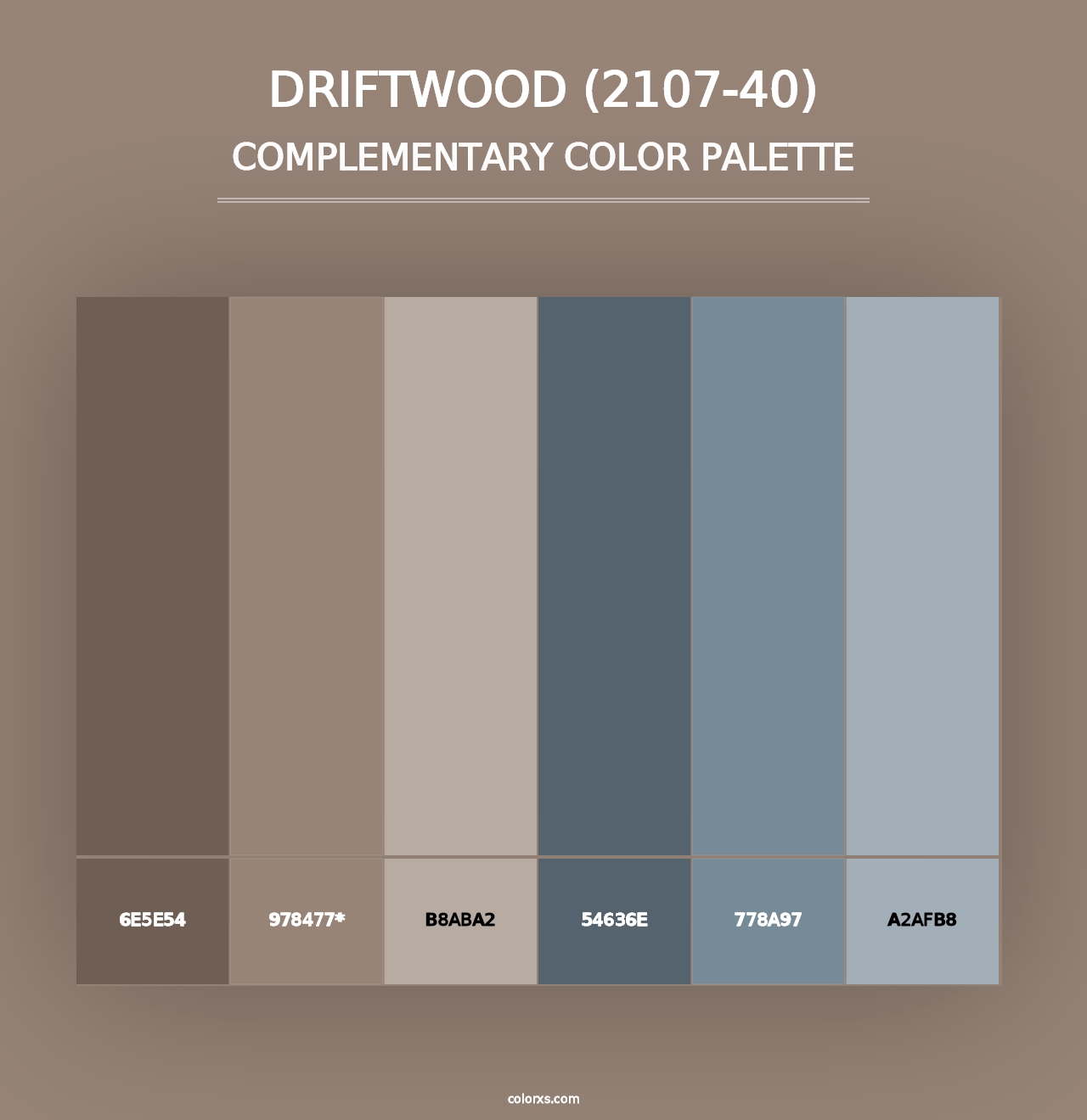 Driftwood (2107-40) - Complementary Color Palette