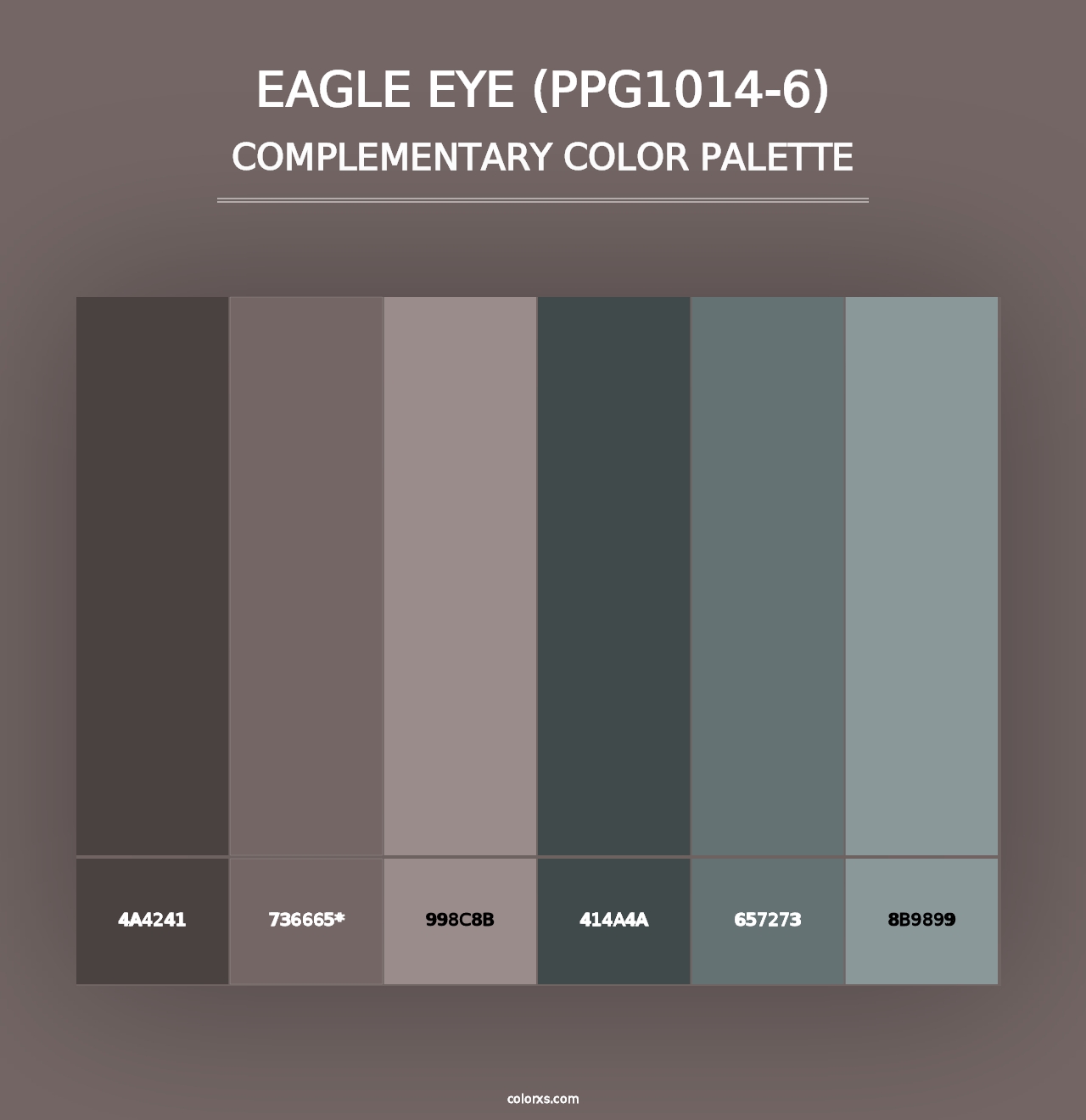 Eagle Eye (PPG1014-6) - Complementary Color Palette