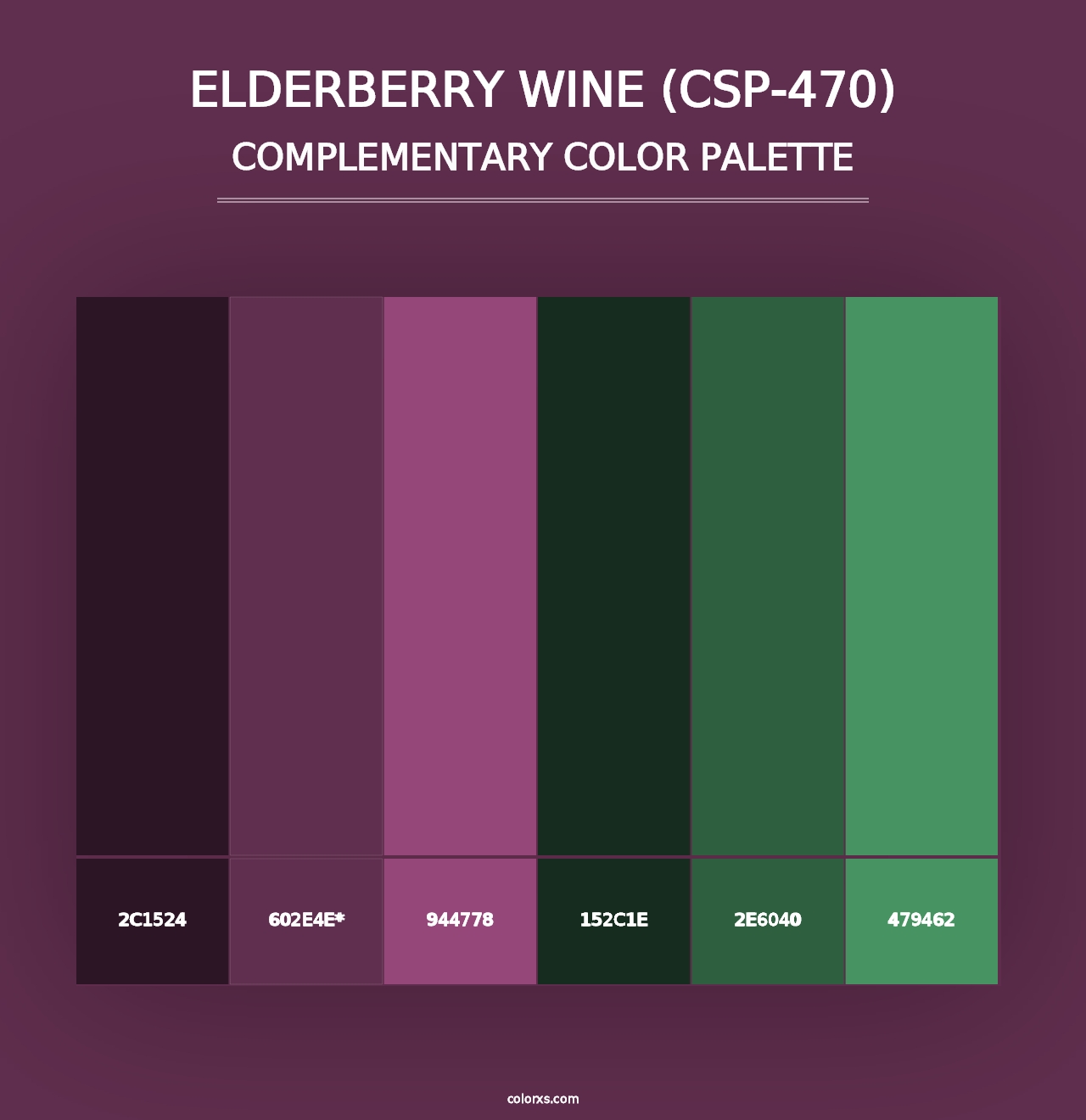 Elderberry Wine (CSP-470) - Complementary Color Palette