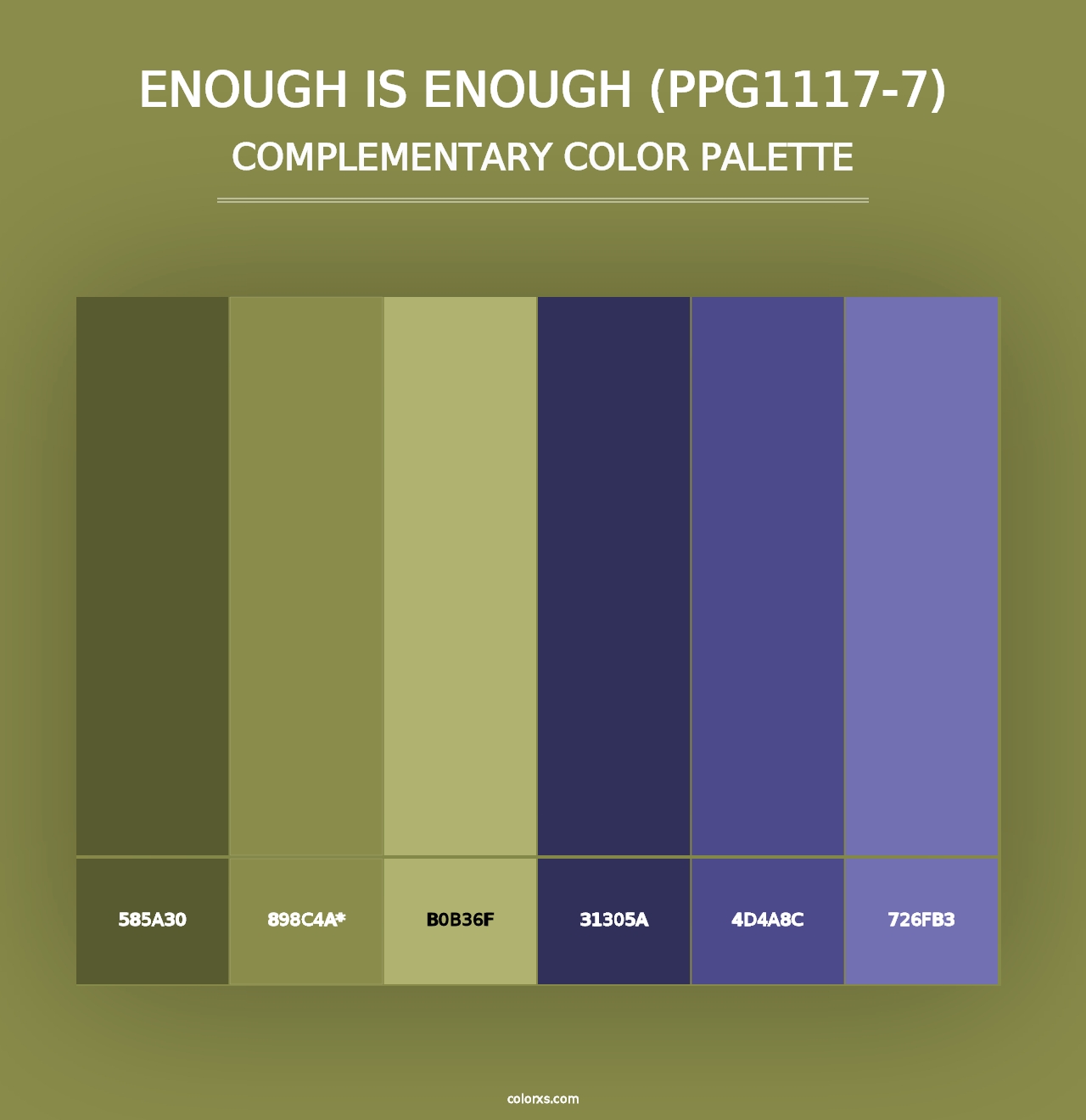 Enough Is Enough (PPG1117-7) - Complementary Color Palette