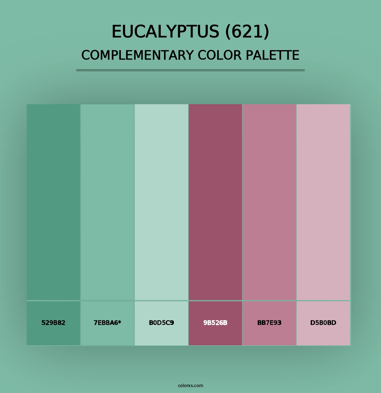 Eucalyptus (621) - Complementary Color Palette