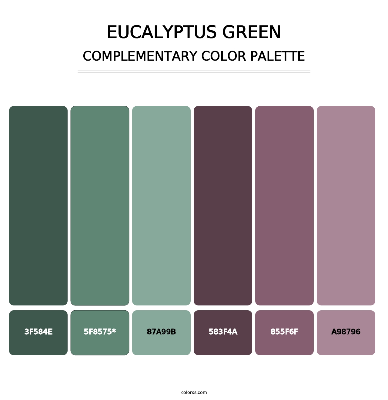 Eucalyptus Green - Complementary Color Palette