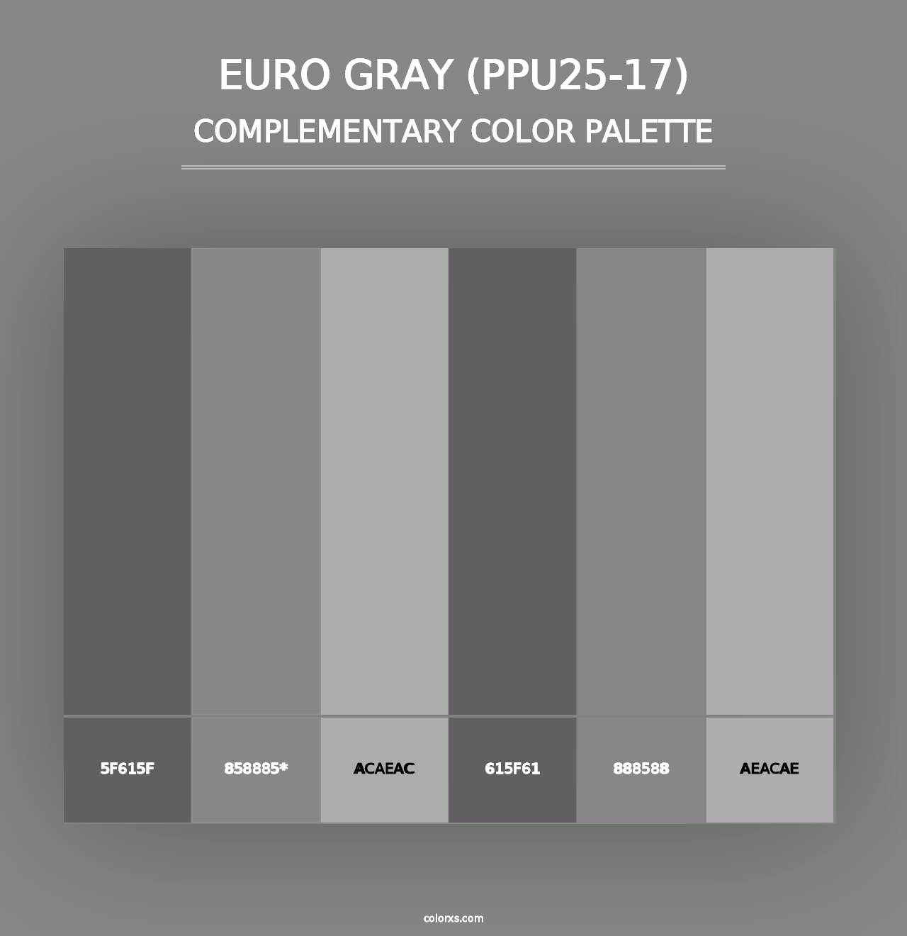 Euro Gray (PPU25-17) - Complementary Color Palette