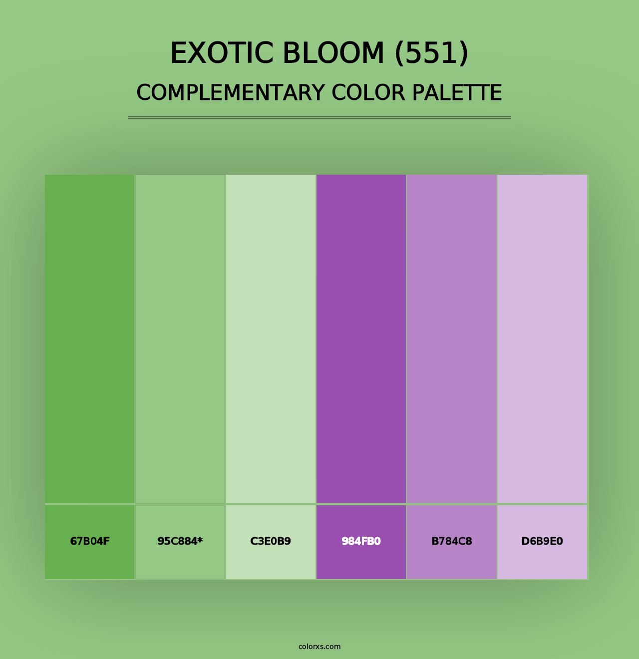 Exotic Bloom (551) - Complementary Color Palette