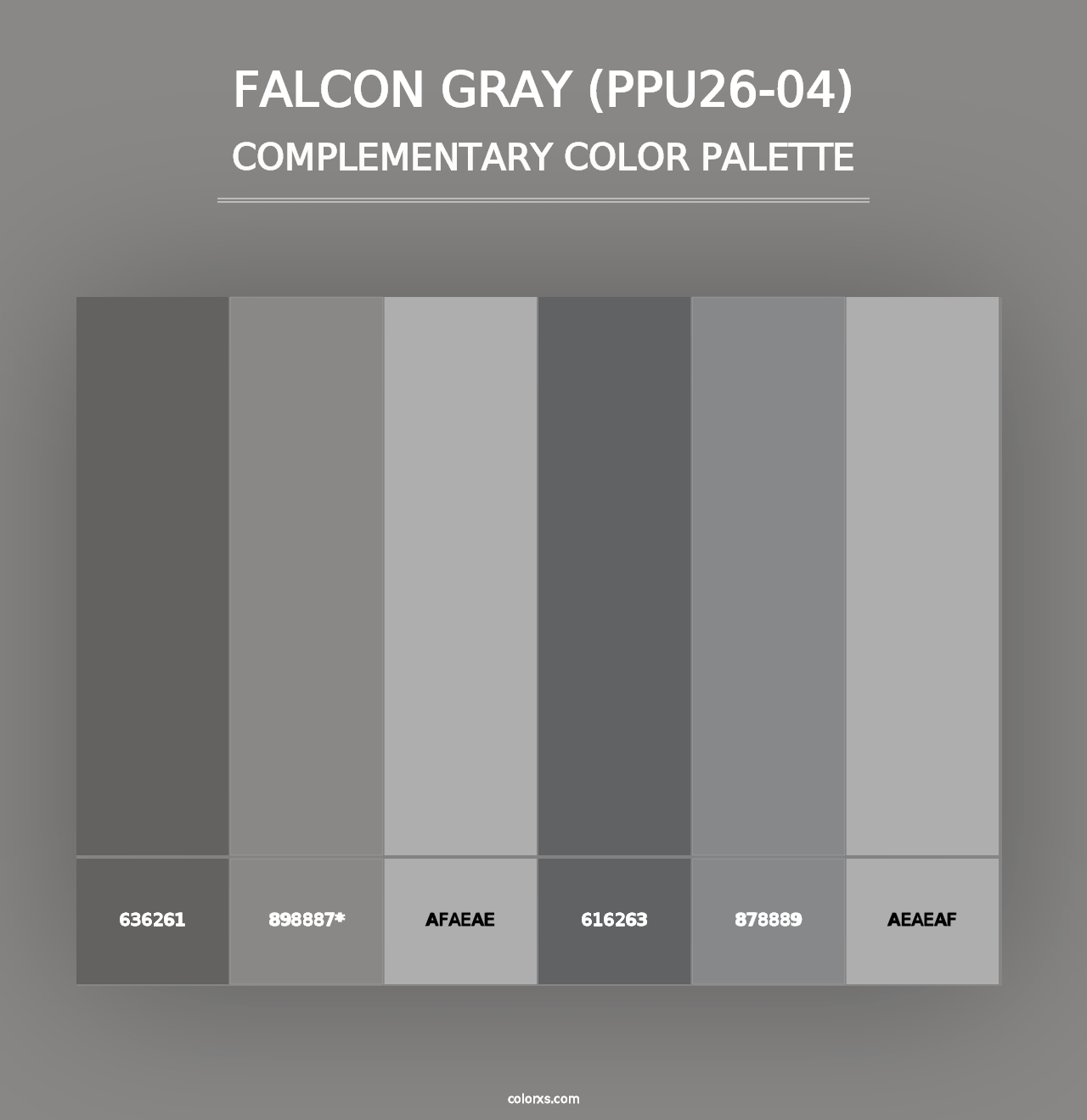 Falcon Gray (PPU26-04) - Complementary Color Palette