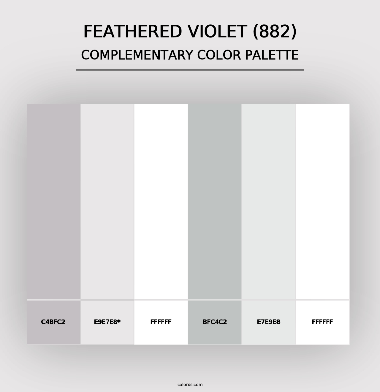 Feathered Violet (882) - Complementary Color Palette