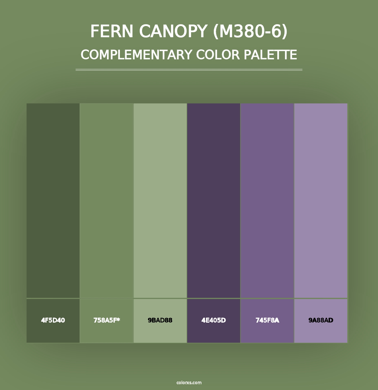 Fern Canopy (M380-6) - Complementary Color Palette