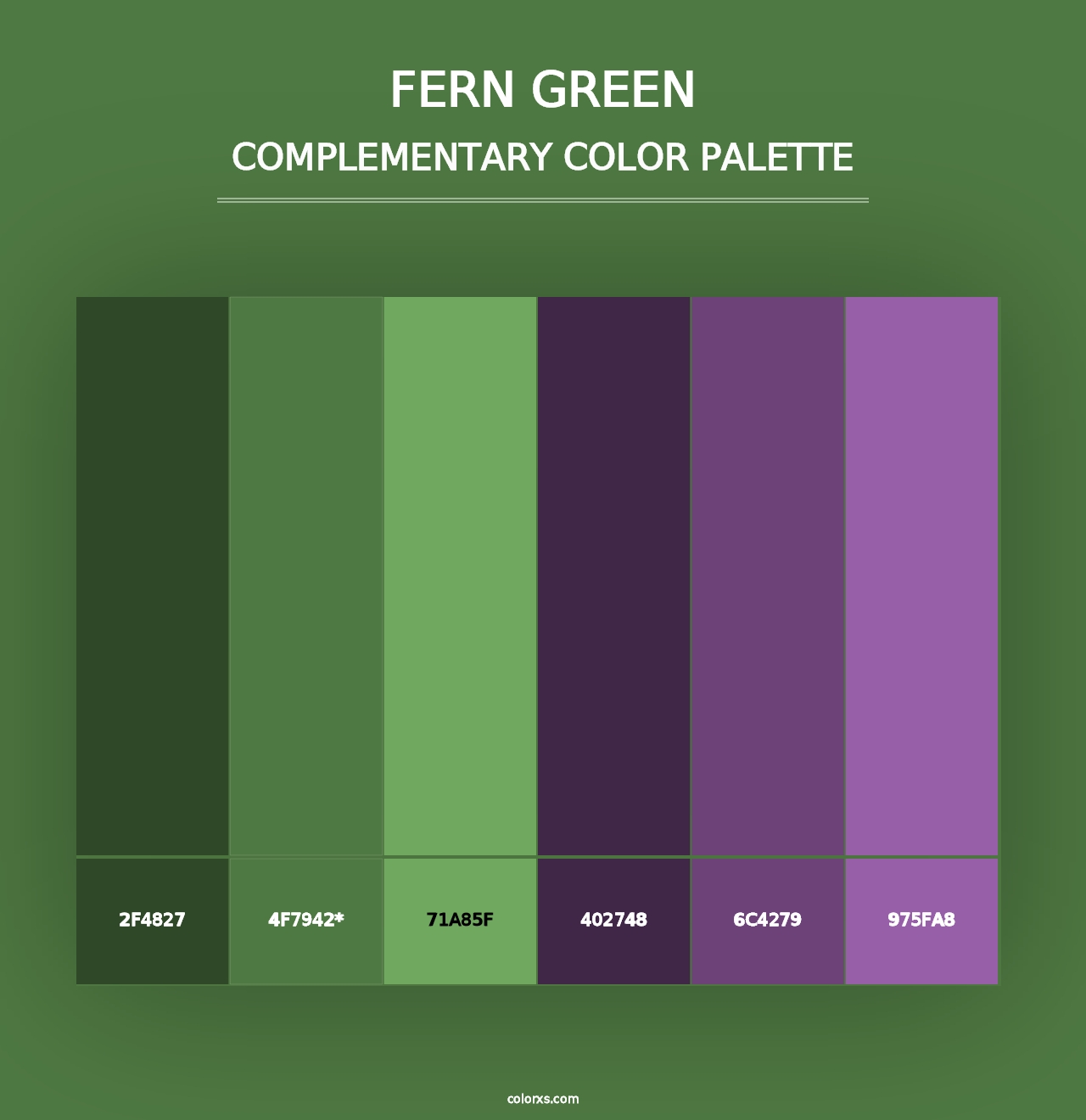 Fern green - Complementary Color Palette