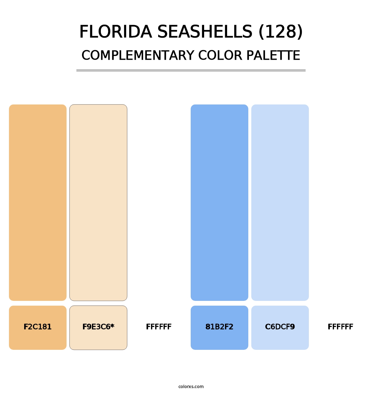 Florida Seashells (128) - Complementary Color Palette