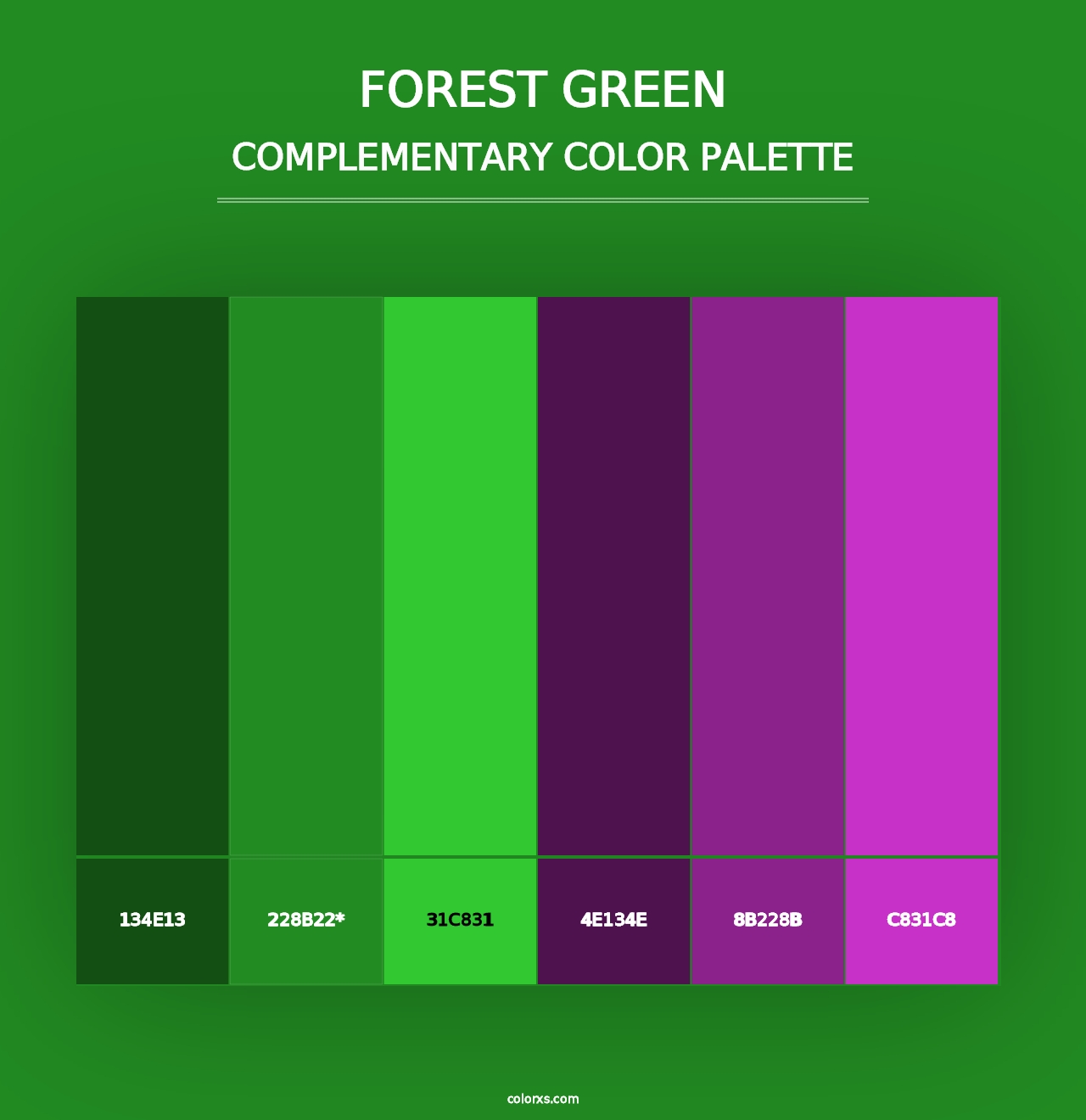 Forest green - Complementary Color Palette