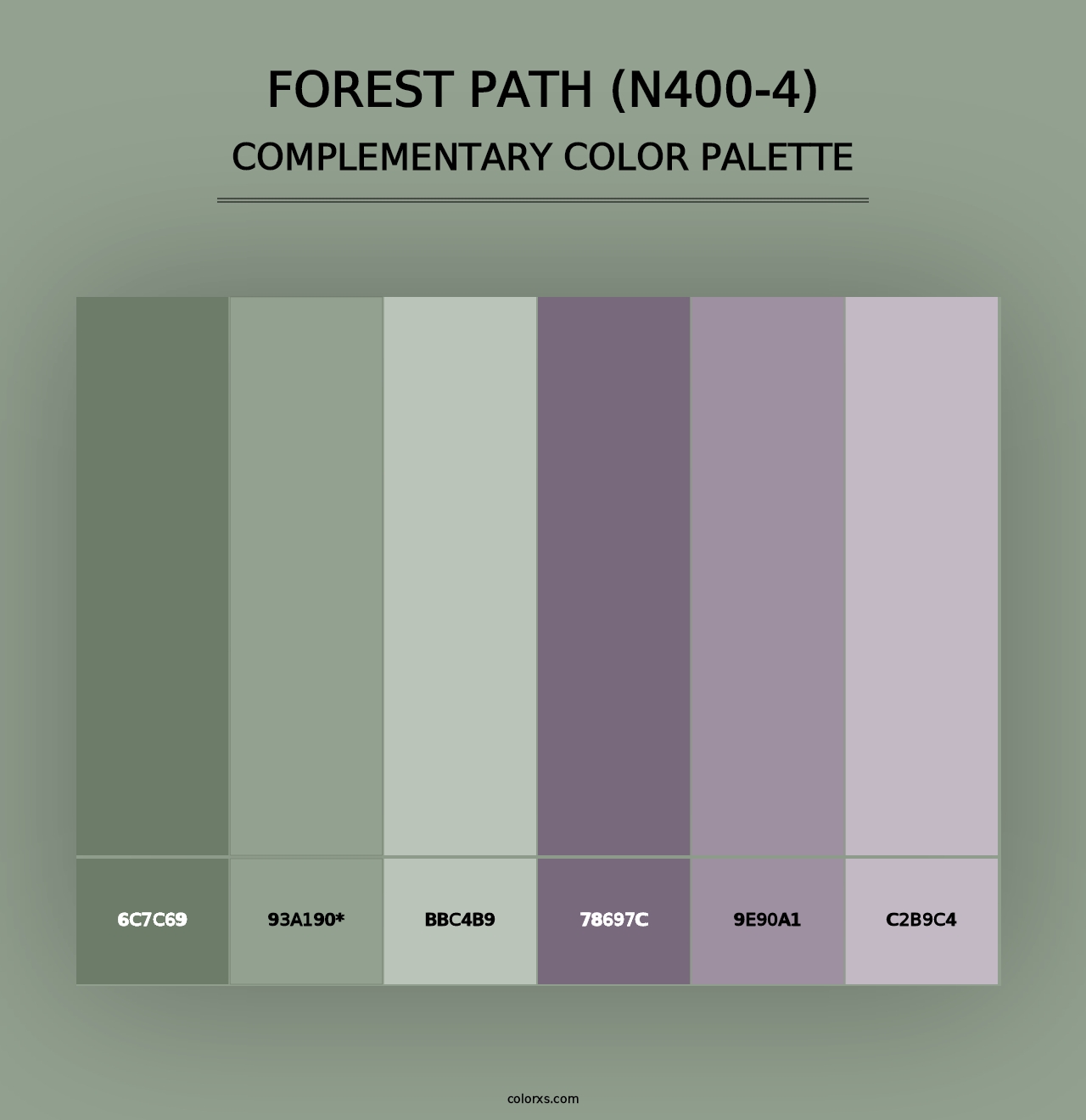 Forest Path (N400-4) - Complementary Color Palette