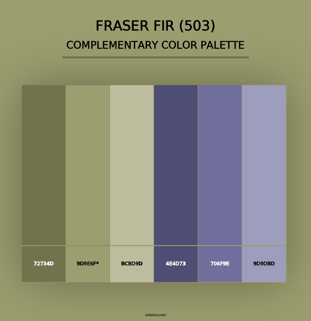 Fraser Fir (503) - Complementary Color Palette