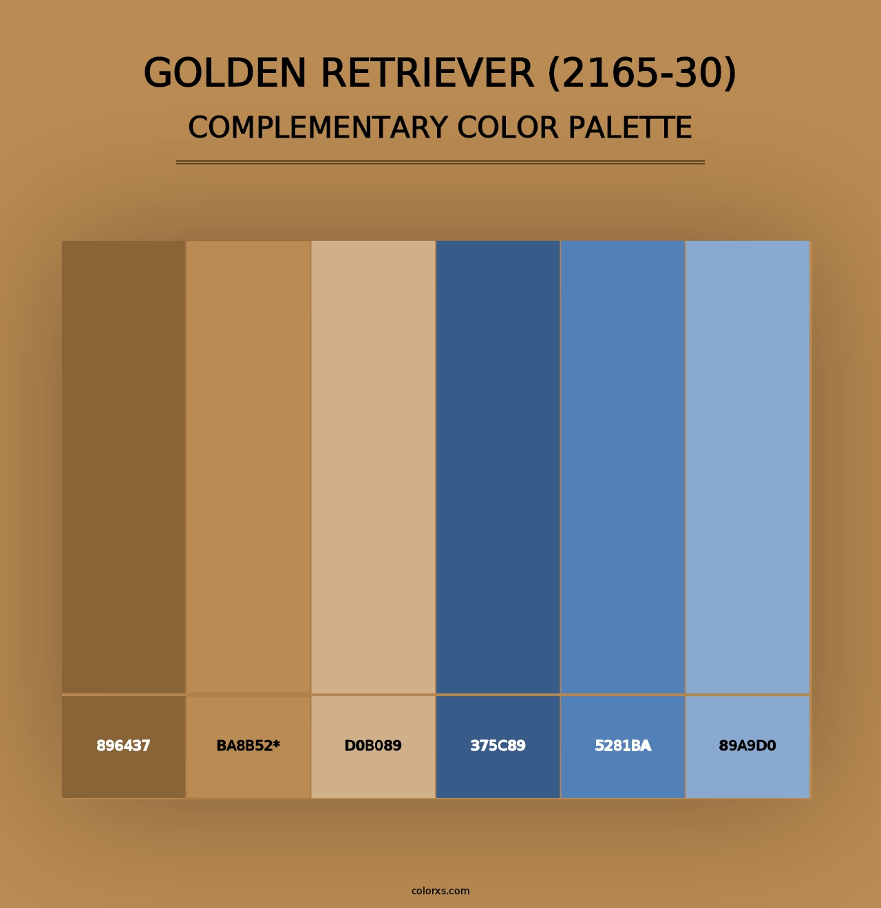 Golden Retriever (2165-30) - Complementary Color Palette