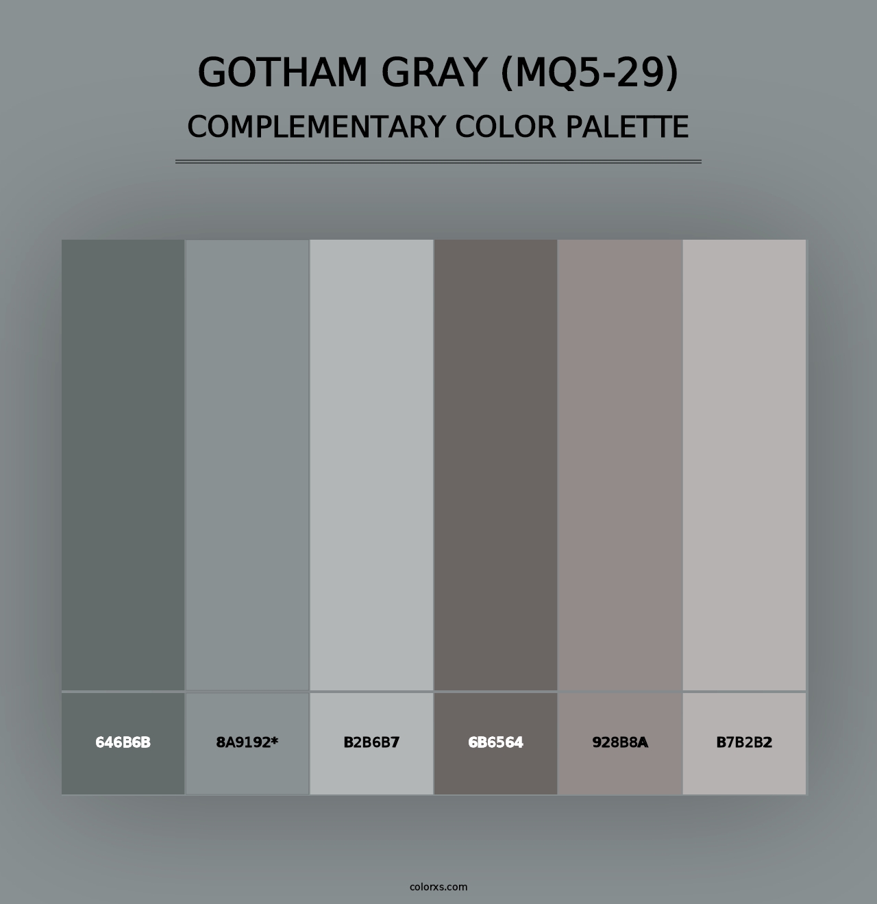 Gotham Gray (MQ5-29) - Complementary Color Palette