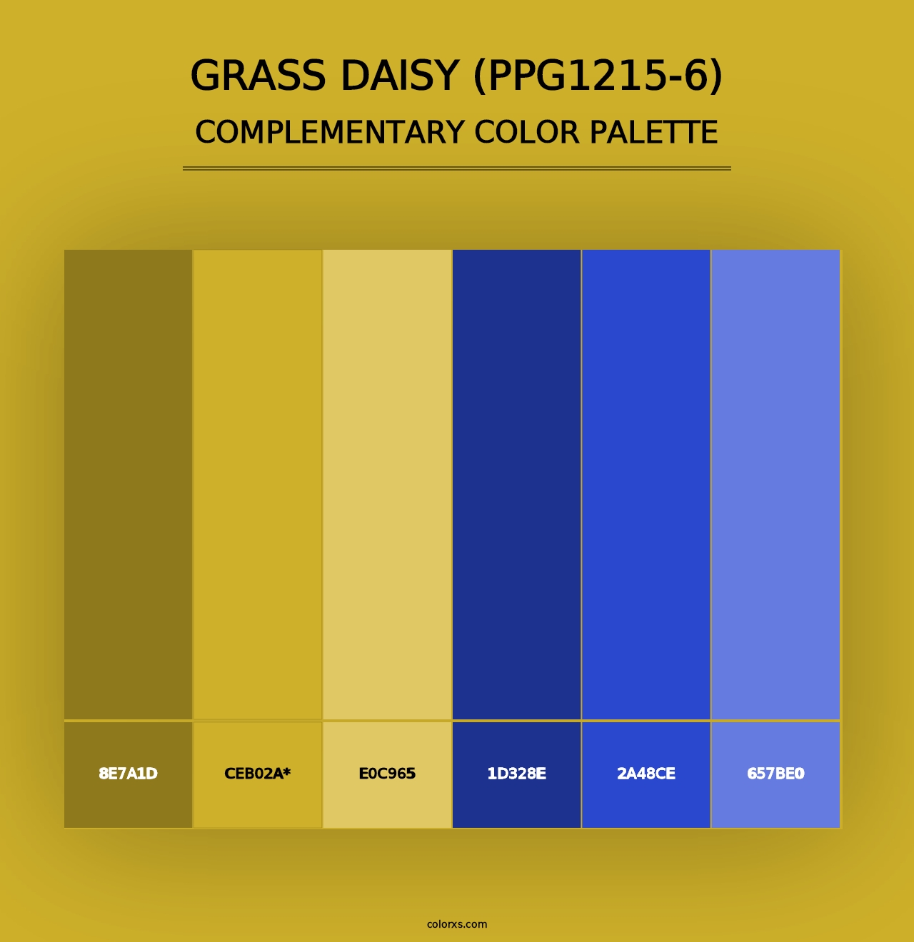 Grass Daisy (PPG1215-6) - Complementary Color Palette