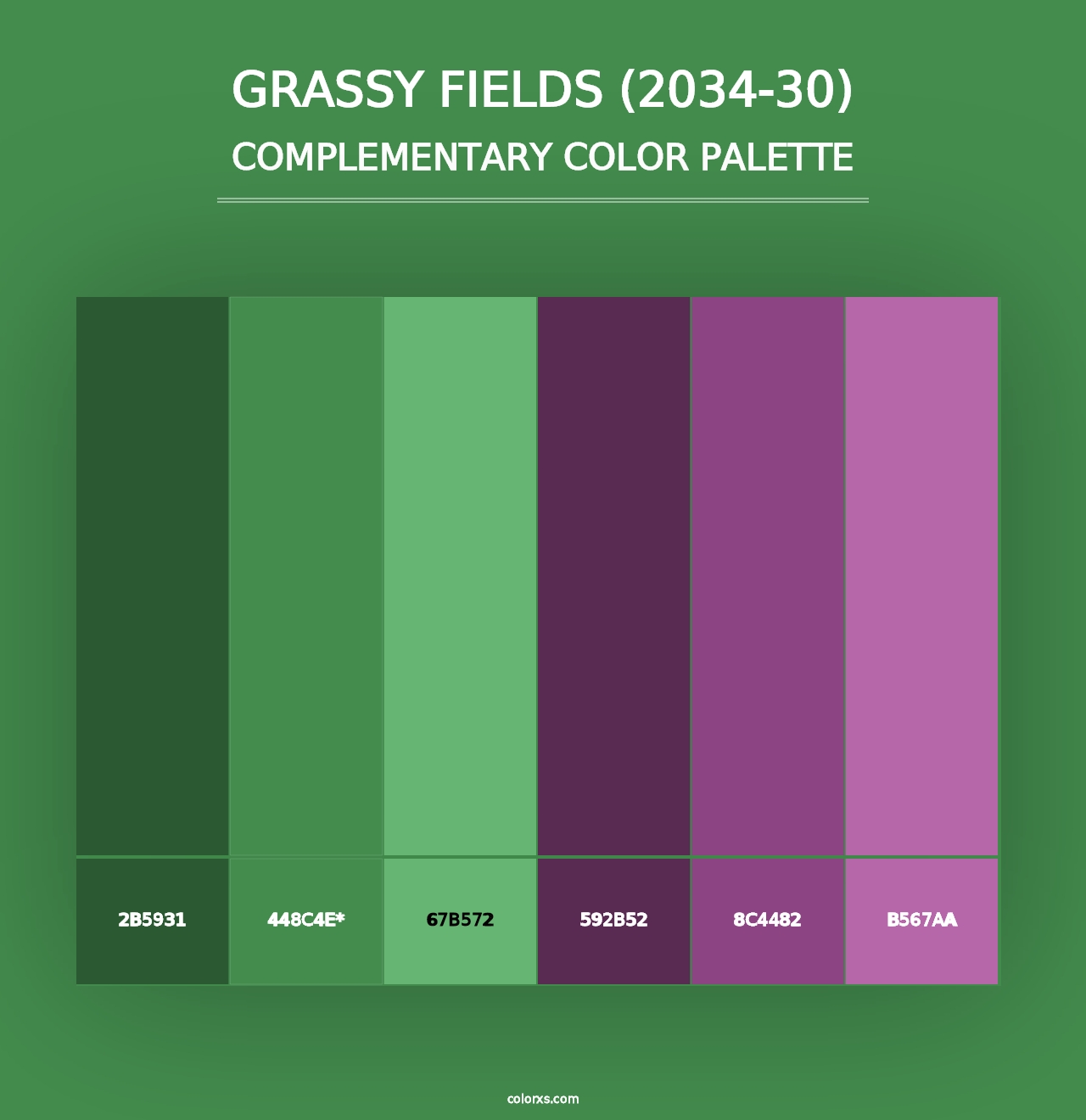 Grassy Fields (2034-30) - Complementary Color Palette