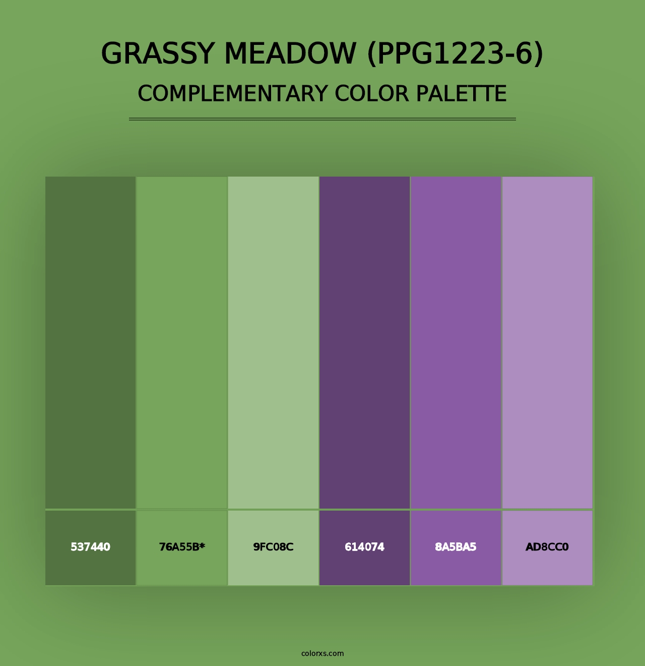 Grassy Meadow (PPG1223-6) - Complementary Color Palette