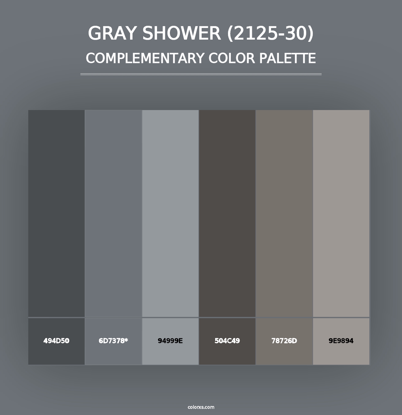 Gray Shower (2125-30) - Complementary Color Palette